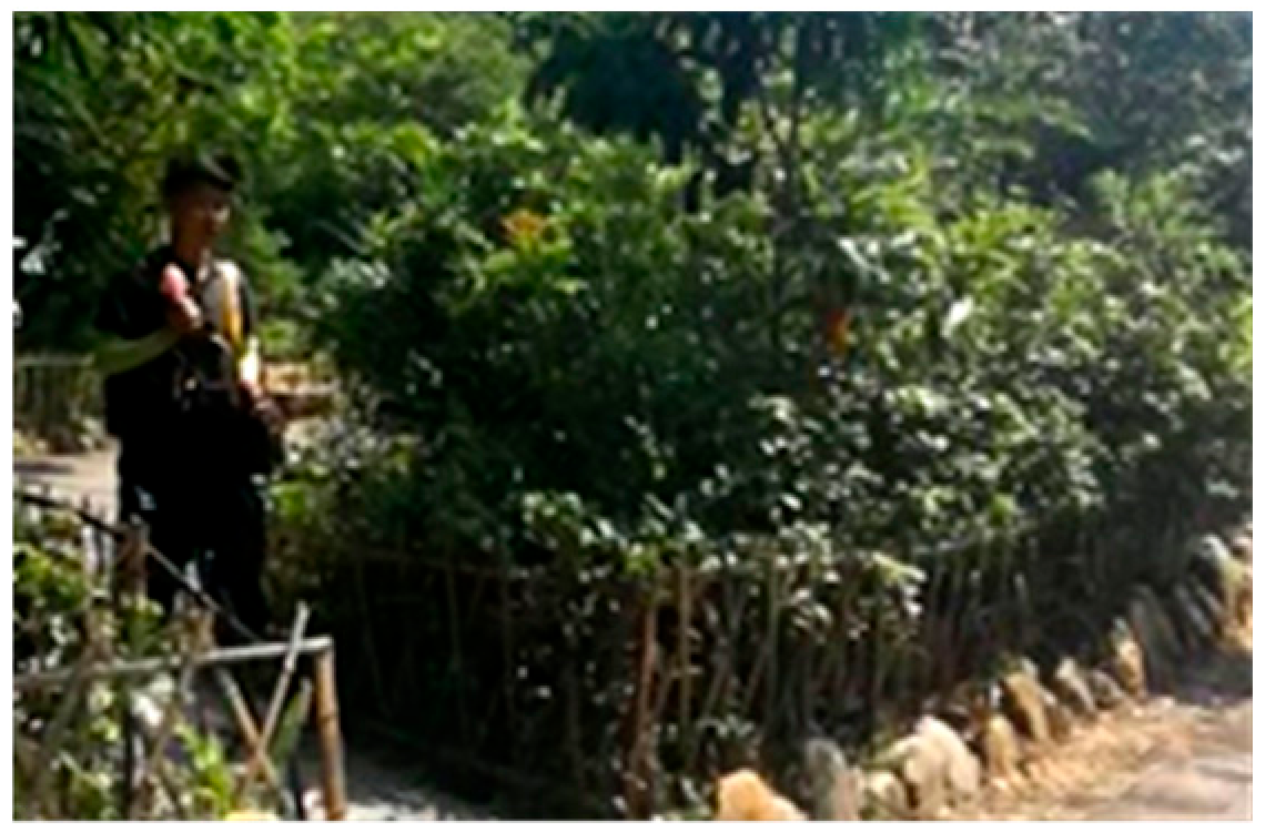 Acoustics 03 00016 i001 Acoustics 03 00016 i001