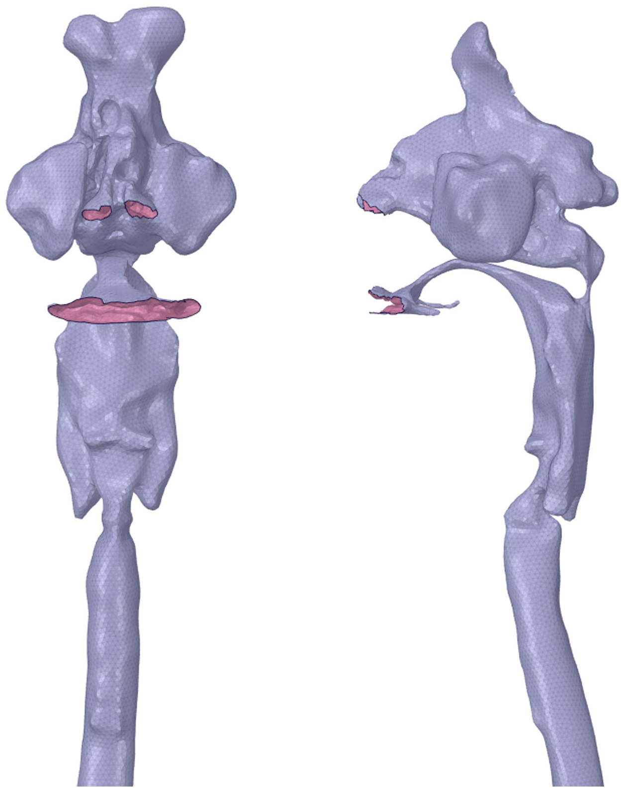Acoustics 05 00033 g002 Acoustics 05 00033 g002
