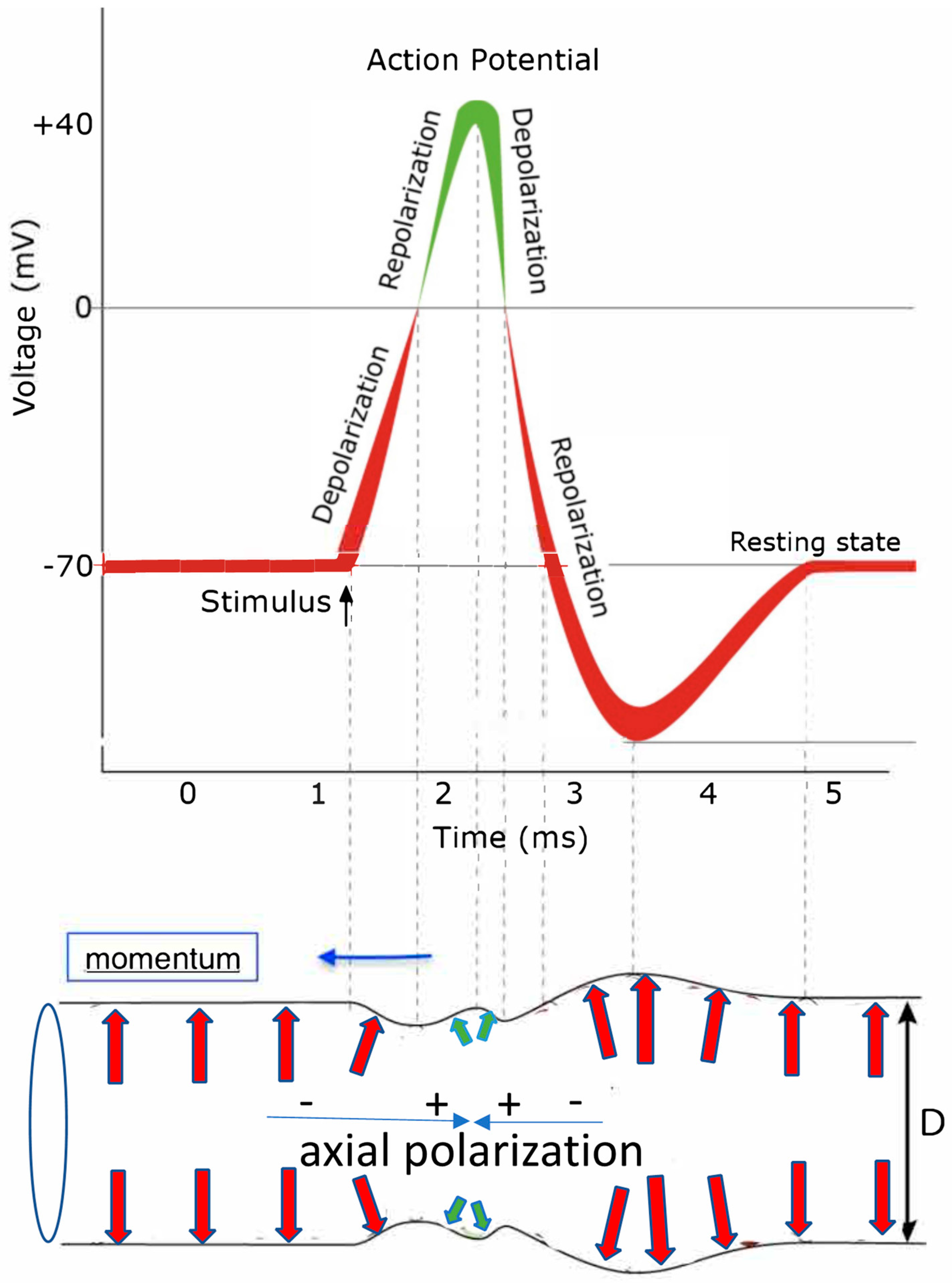 Acoustics 05 00037 g004