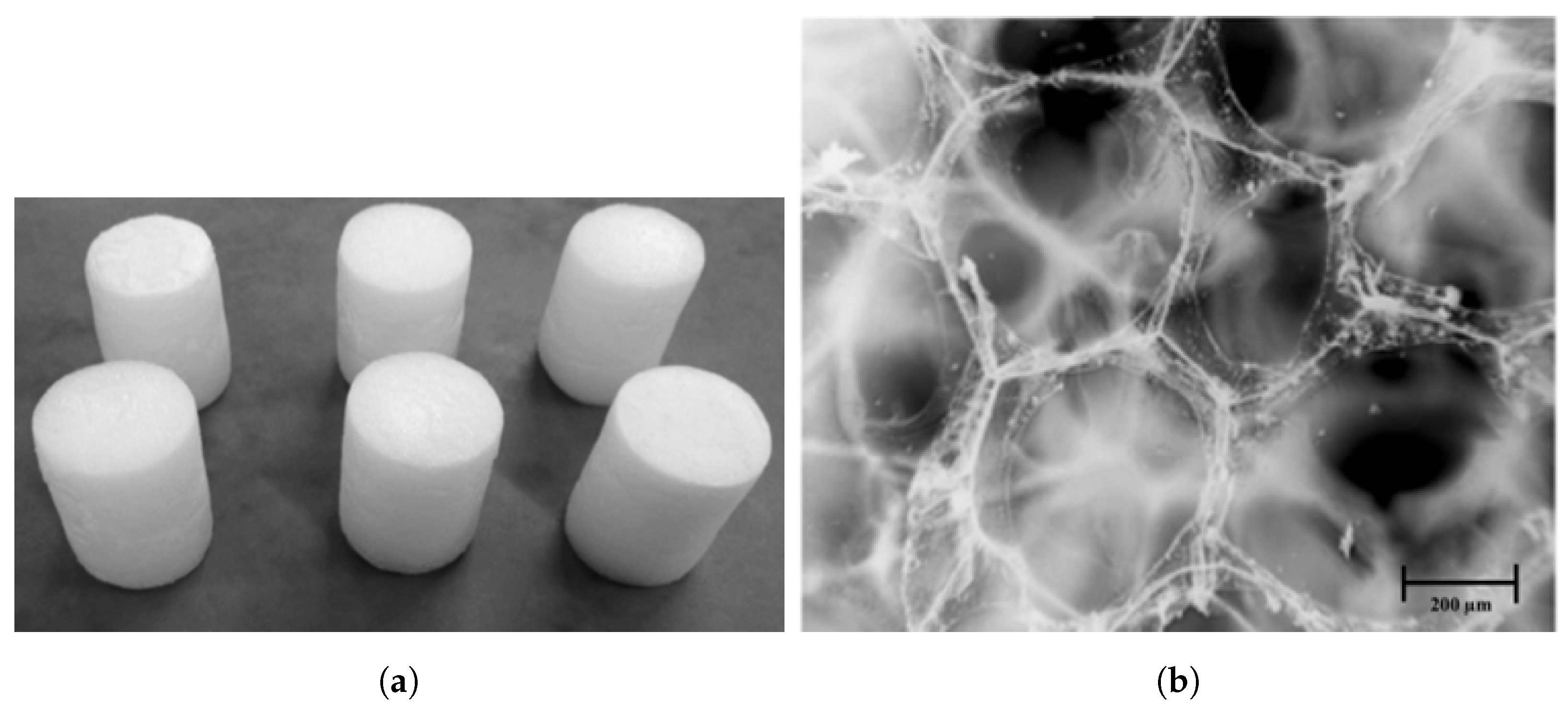 Acoustics 06 00059 g004