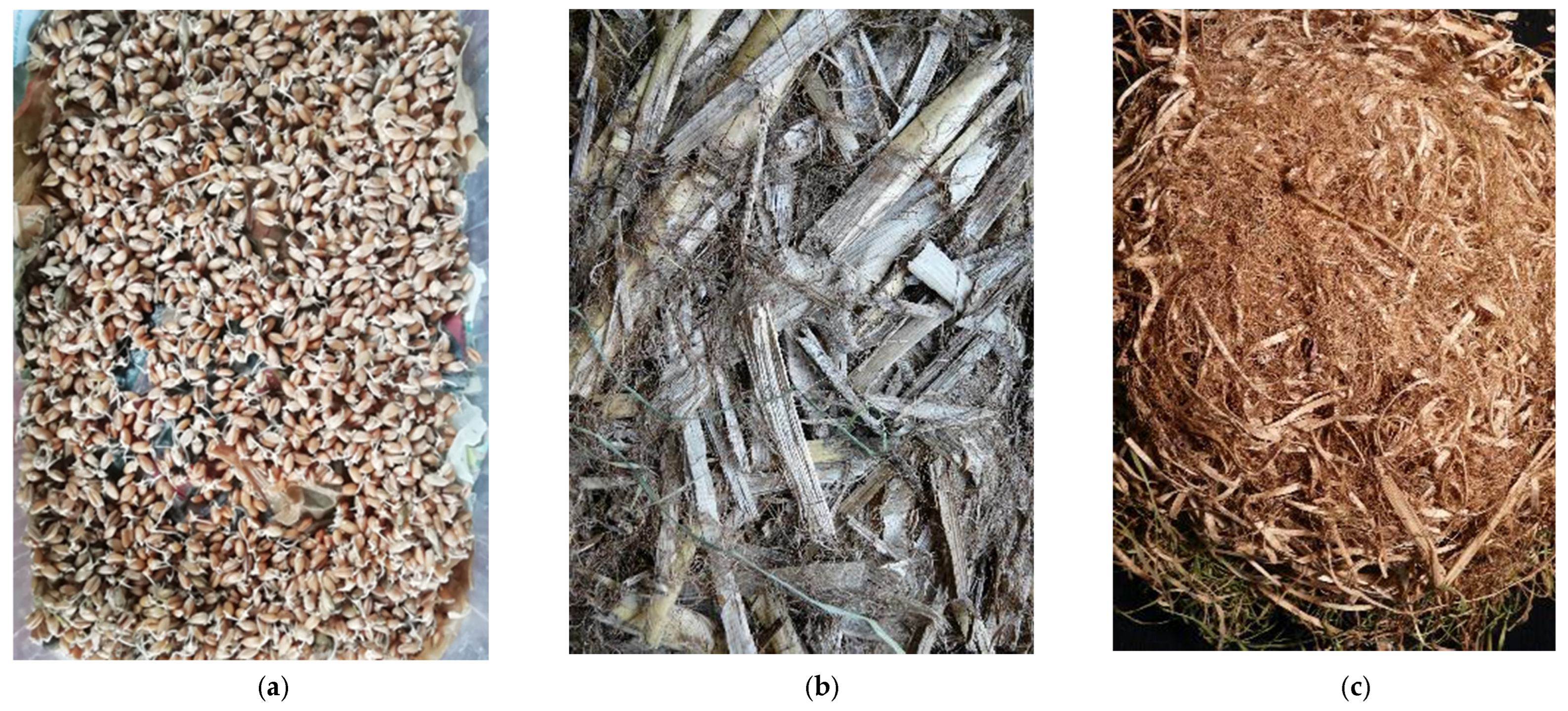 Acoustics 07 00024 g003