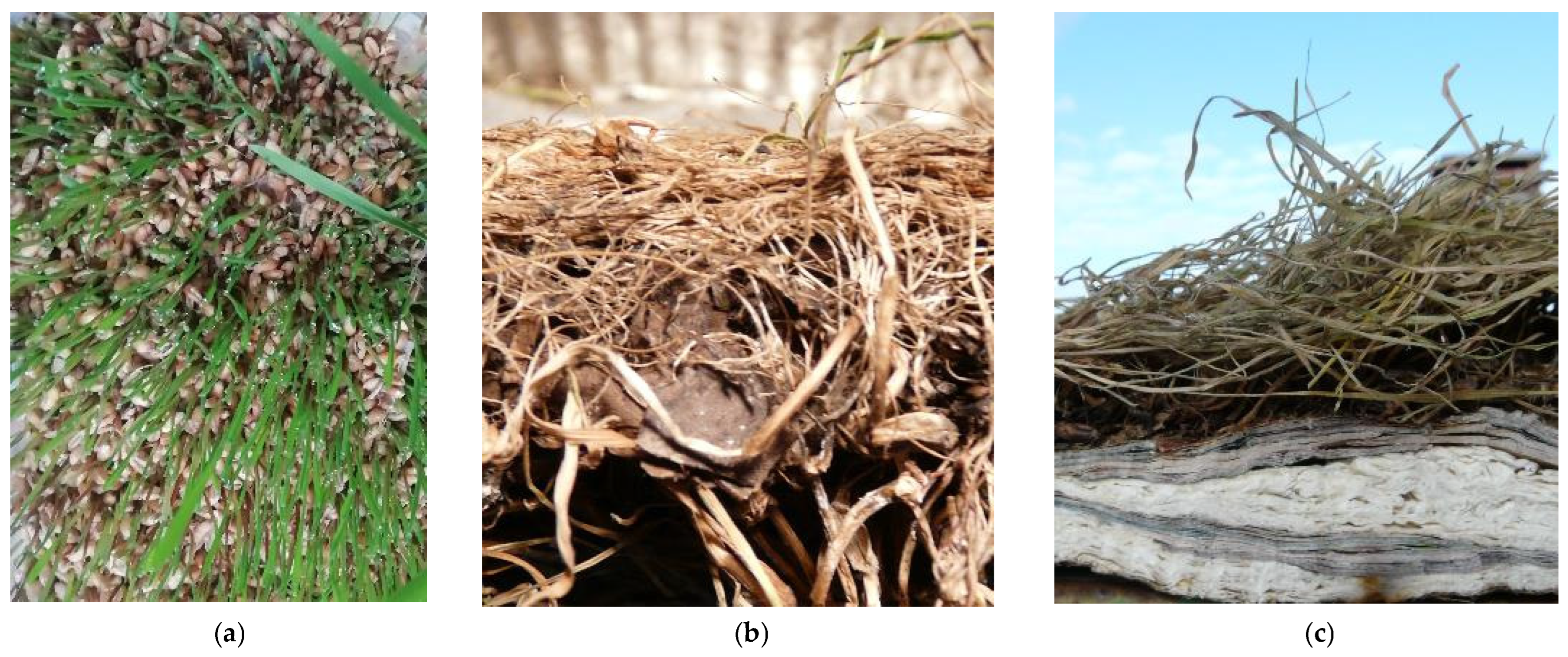 Acoustics 07 00024 g004