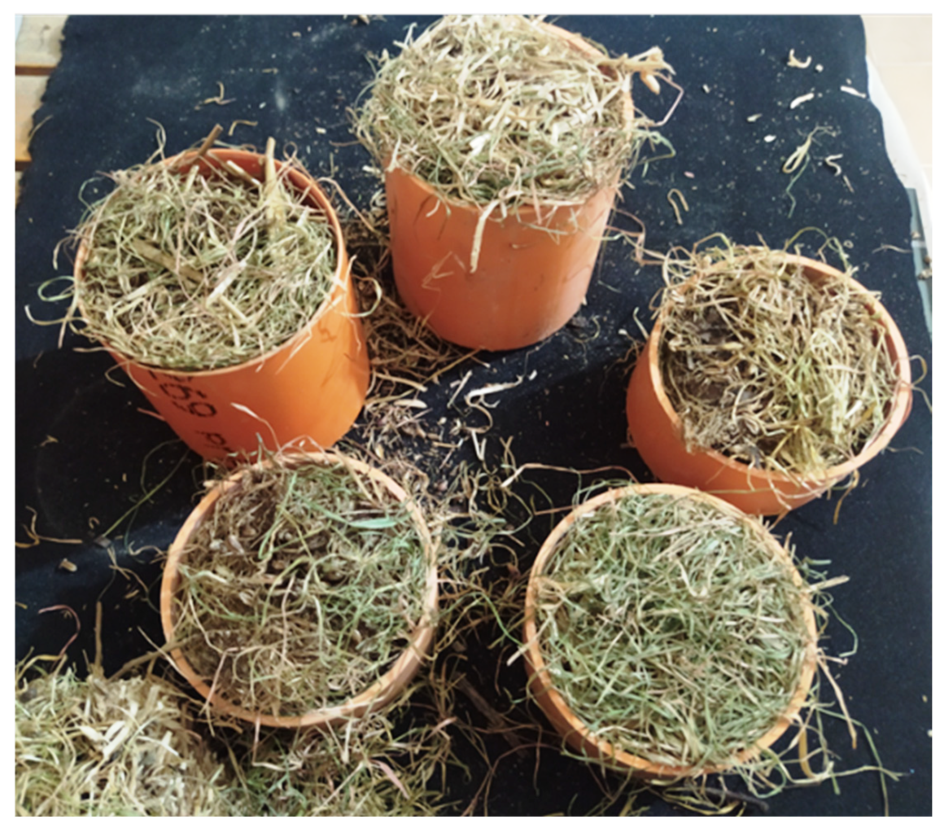 Acoustics 07 00024 g007