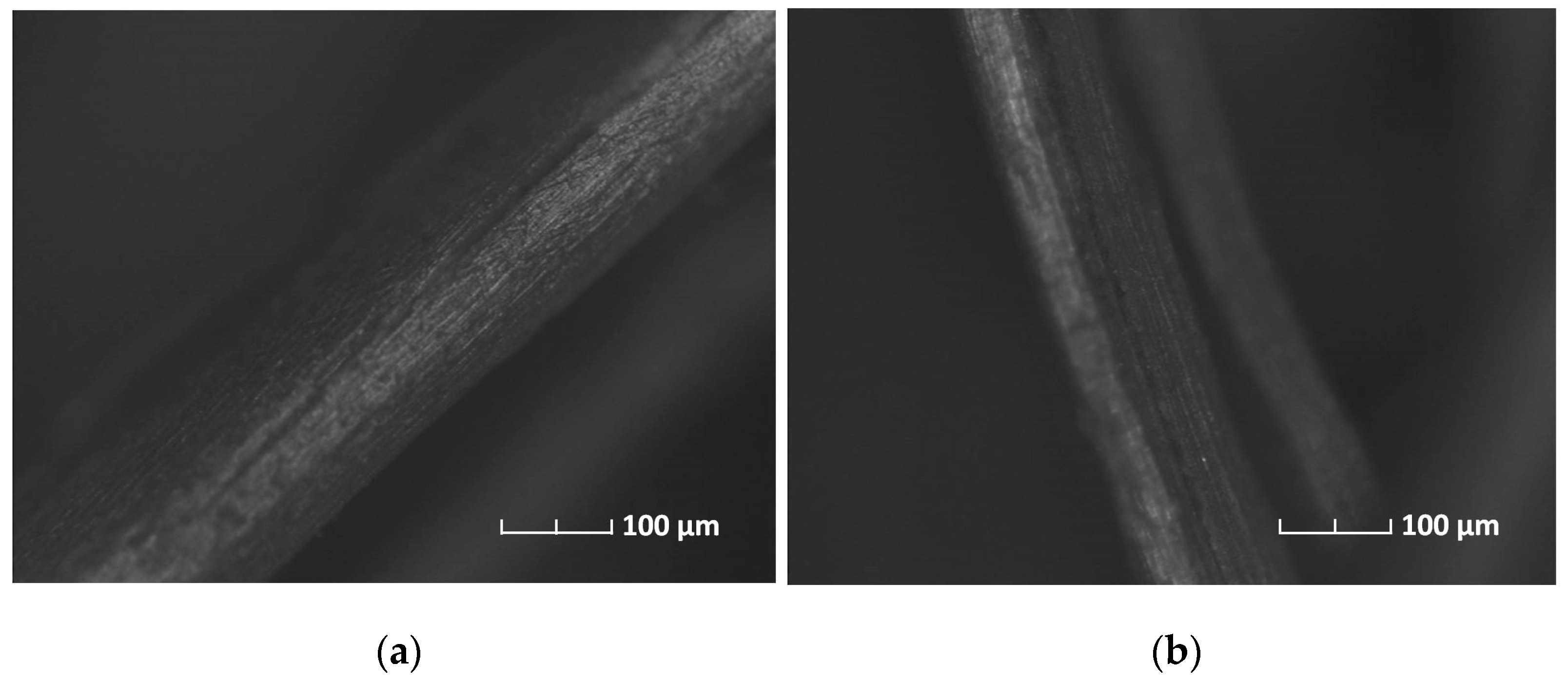 Acoustics 07 00032 g004