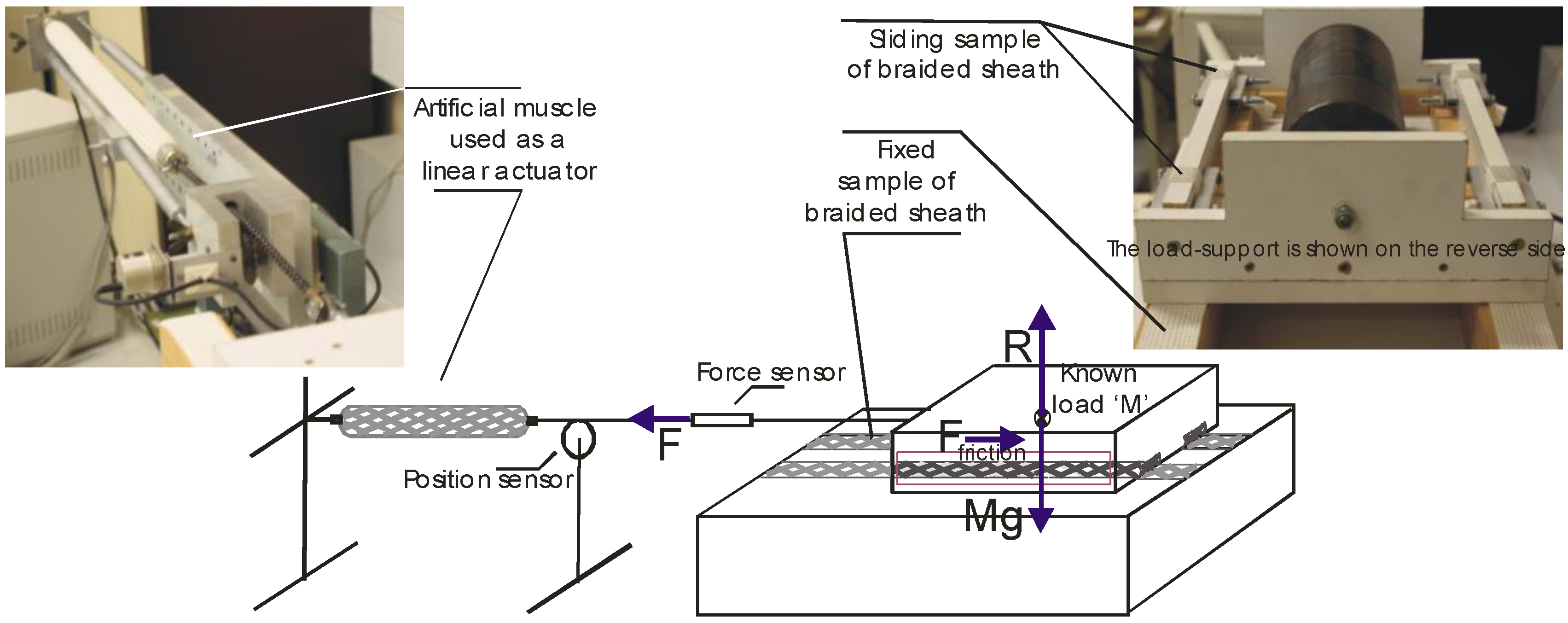 Actuators 03 00142 g003 550