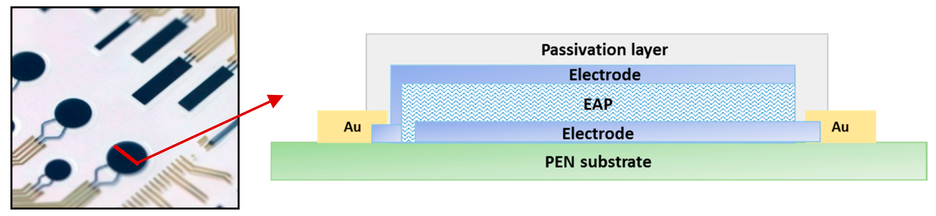 Actuators 06 00018 g001