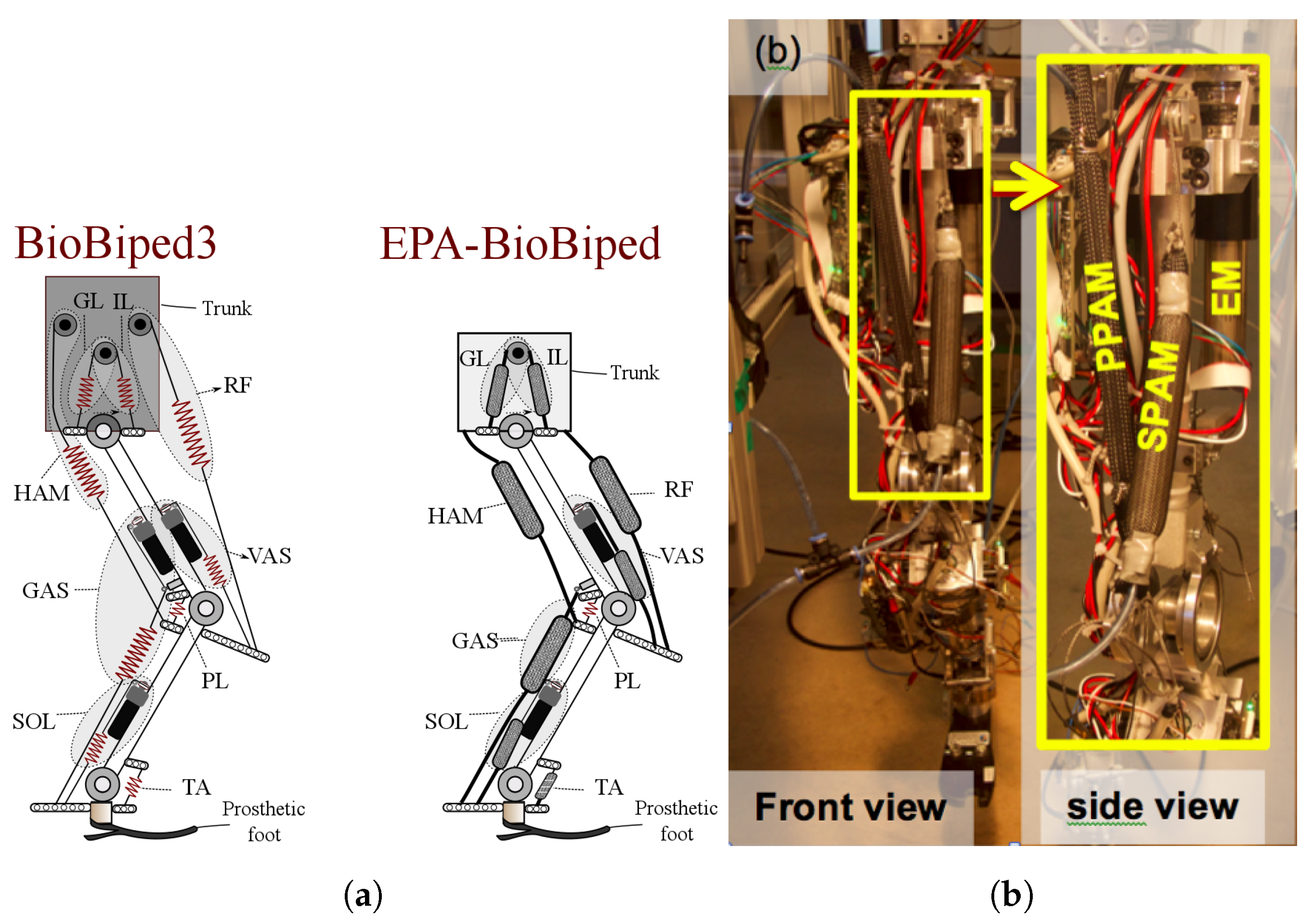 Actuators 06 00030 g003 550