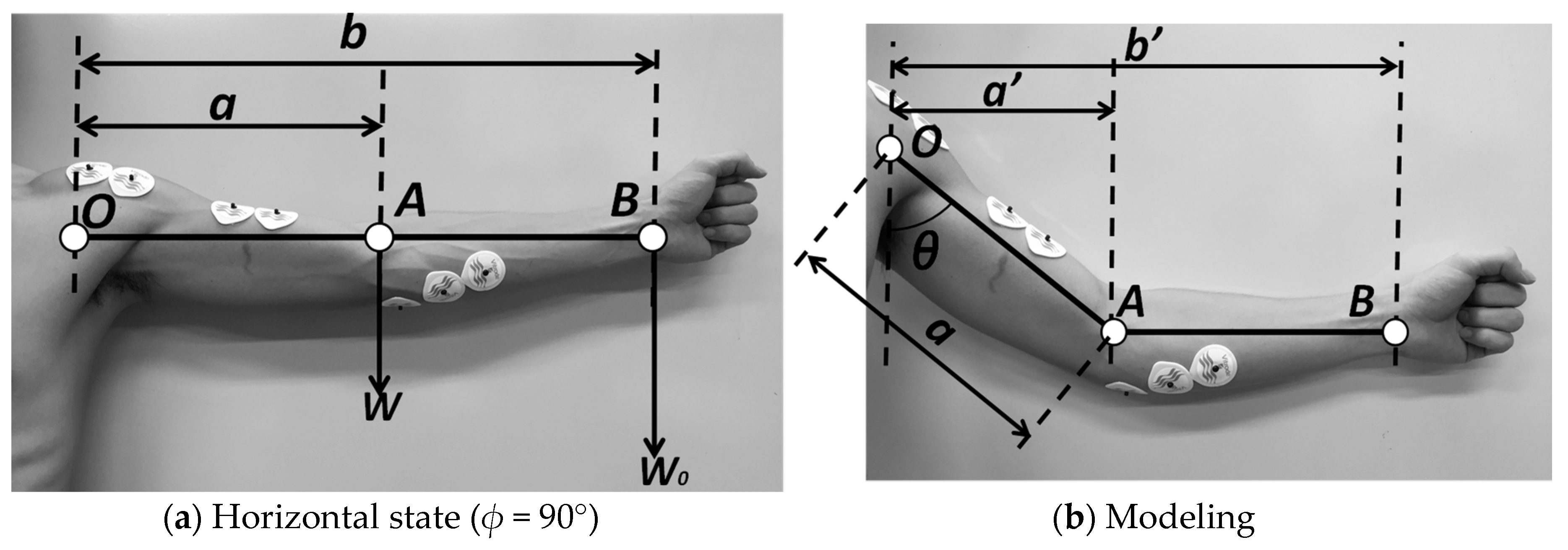 Actuators 07 00044 g006 550