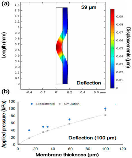 Property Investigation of Replaceable PDMS Membrane as an Property Investigation of Replaceable PDMS Membrane as an