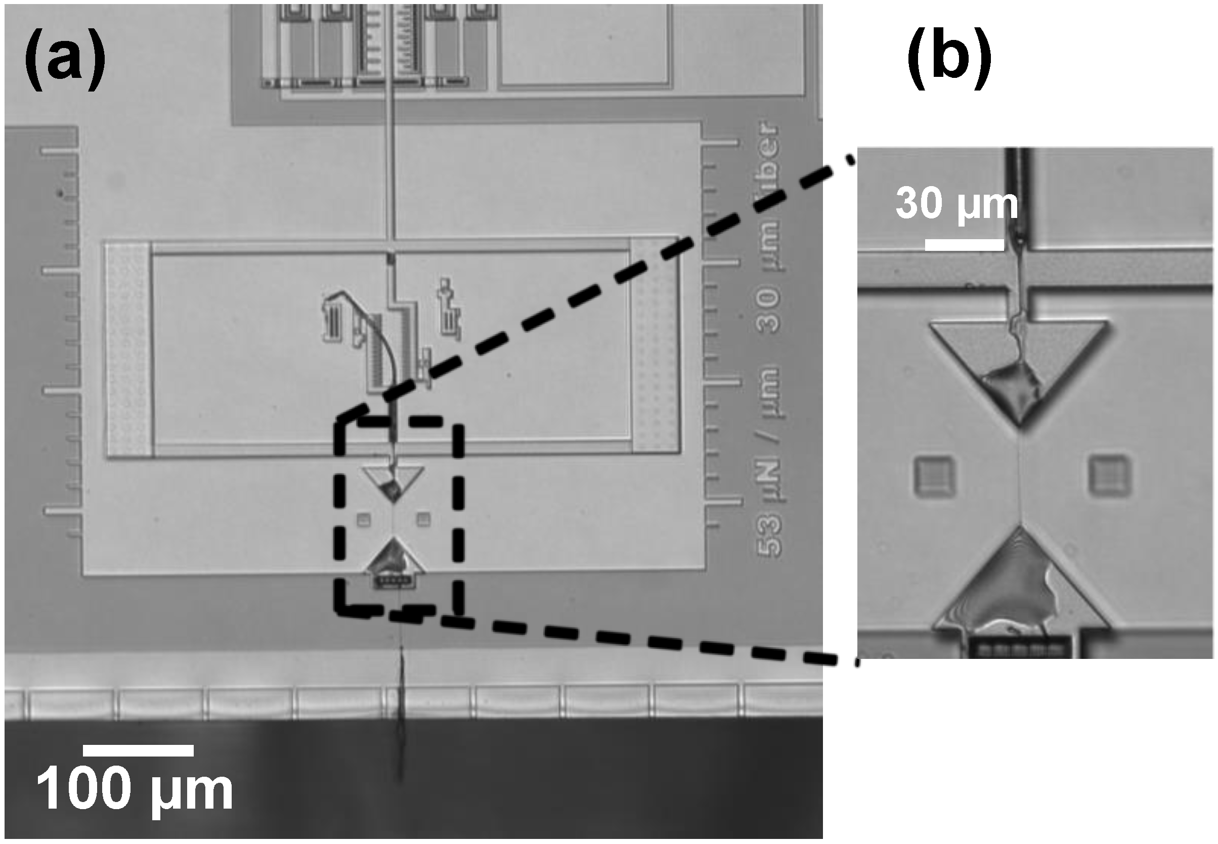 Actuators 07 00071 g007