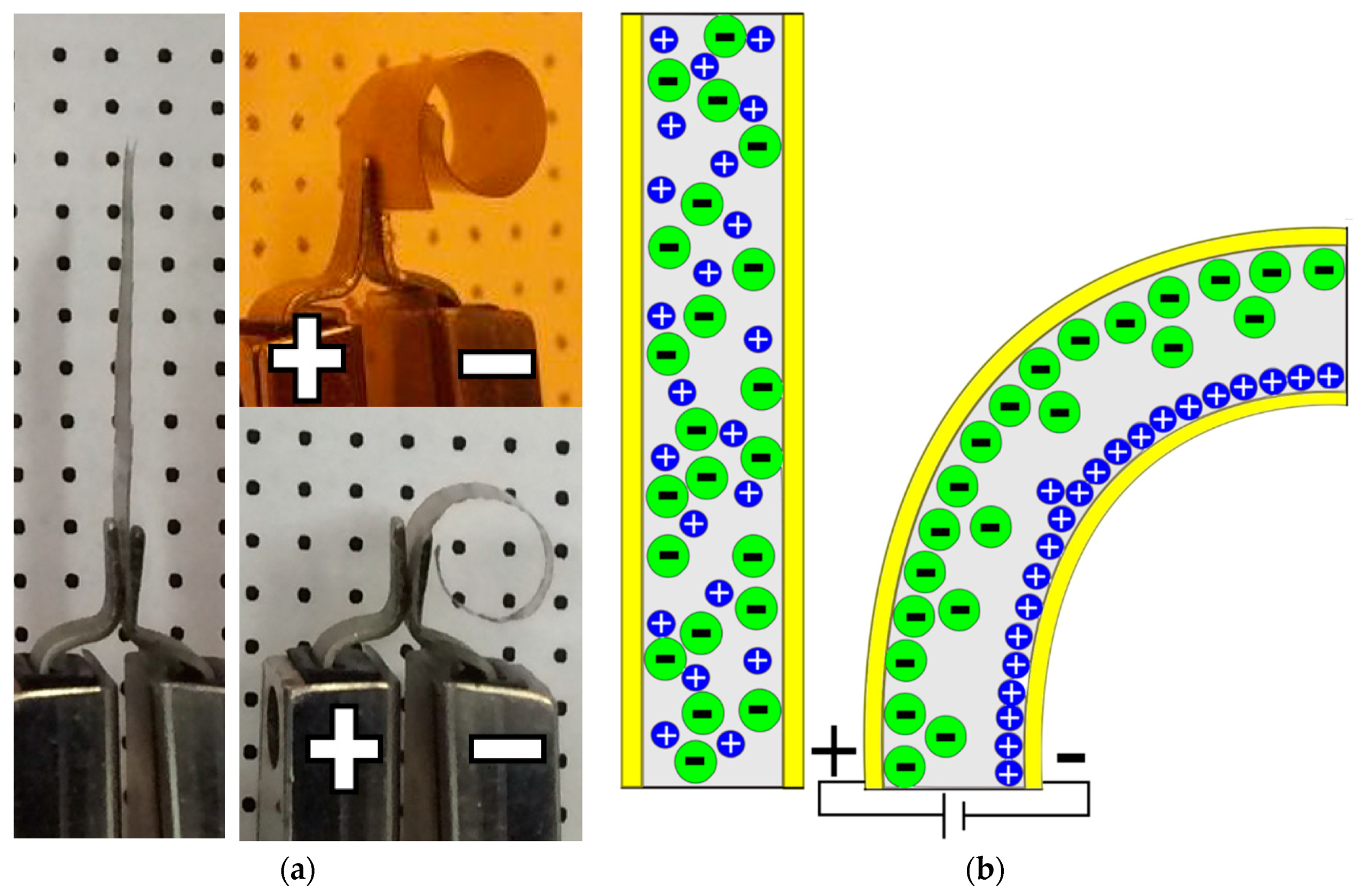 Actuators 07 00072 g001 Actuators 07 00072 g001