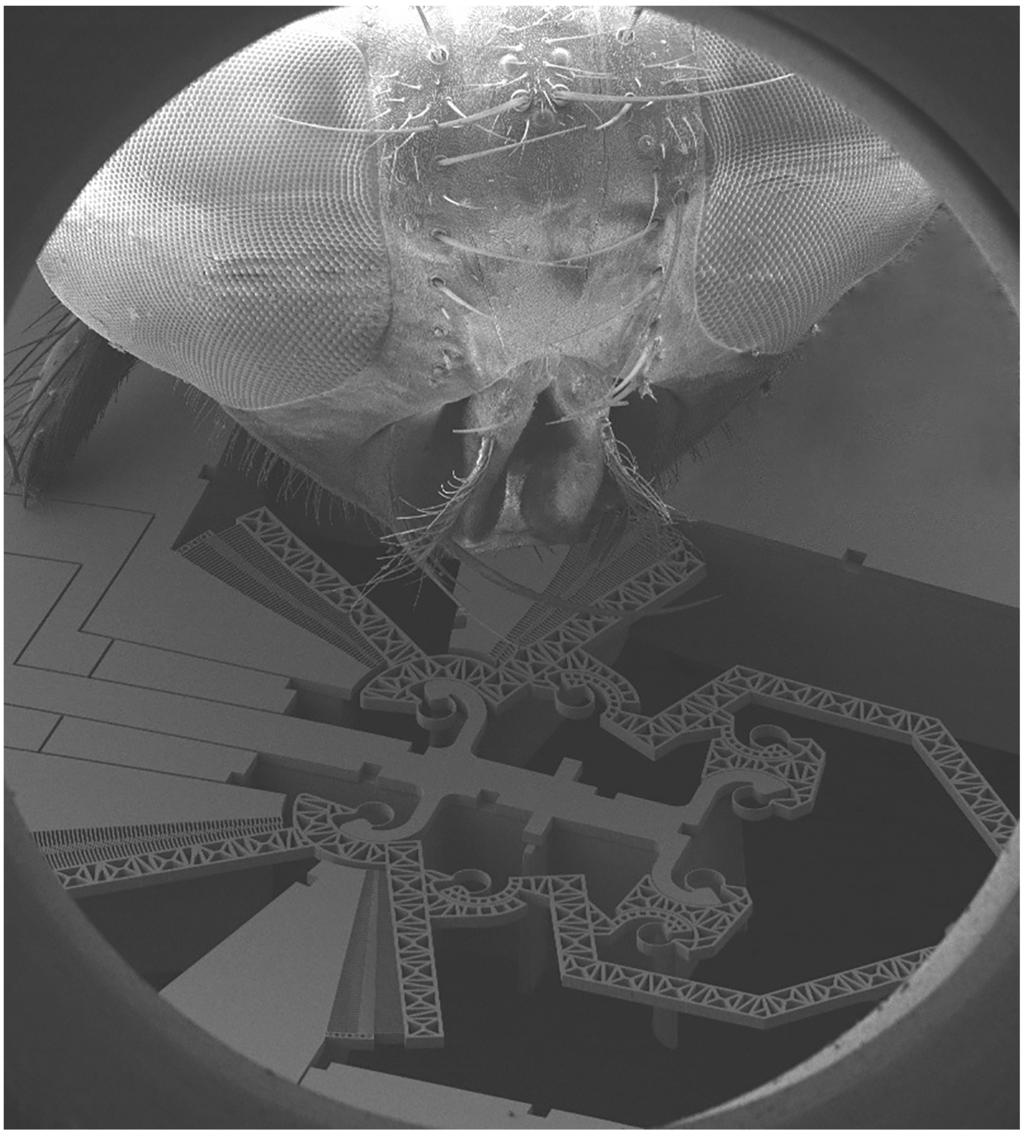 Actuators 07 00085 g002 Actuators 07 00085 g002