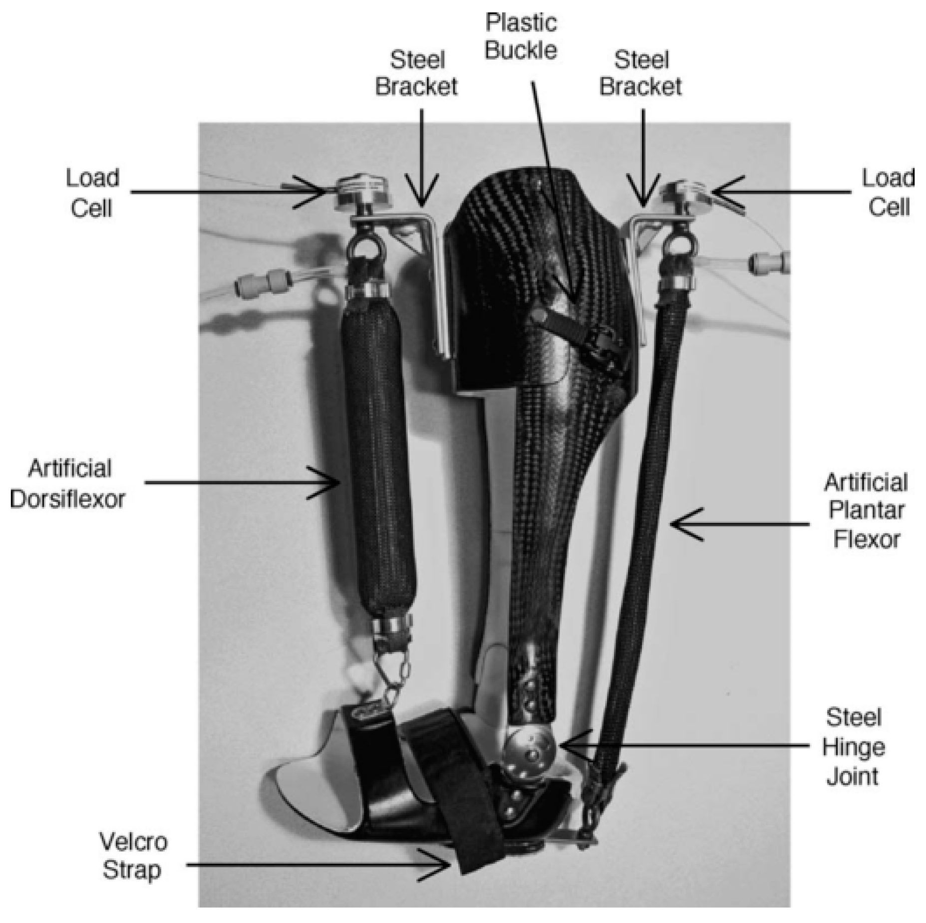 Actuators 08 00010 g010