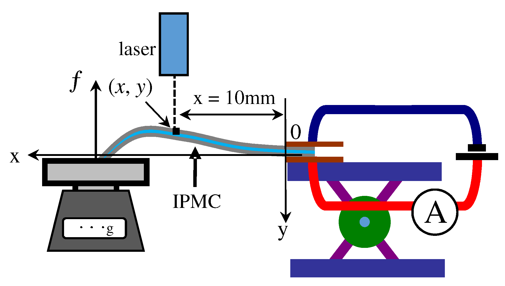 Fixed-free Bending Configuration of an IPMC Actuator for an Input