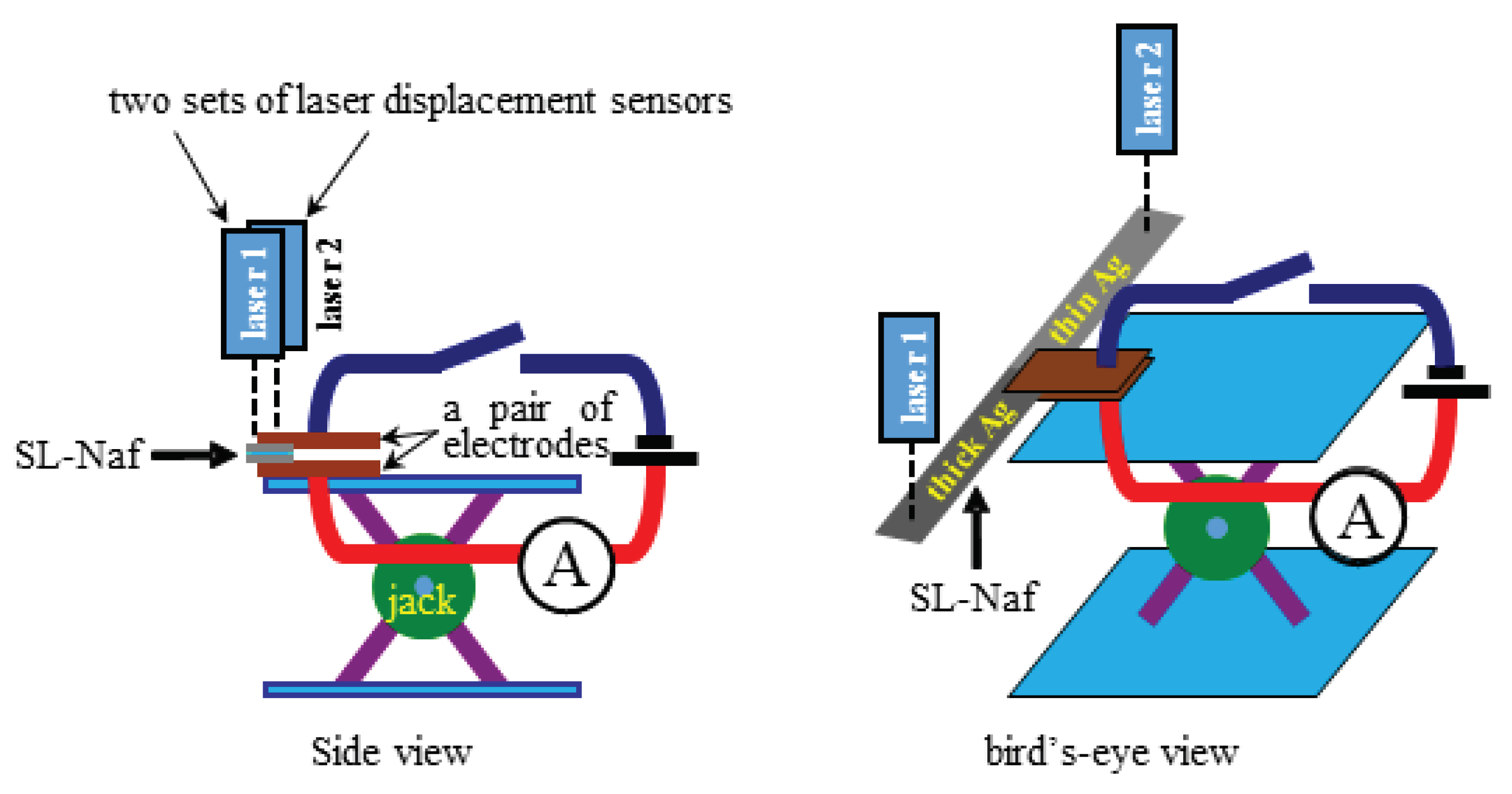 Fixed-free Bending Configuration of an IPMC Actuator for an Input