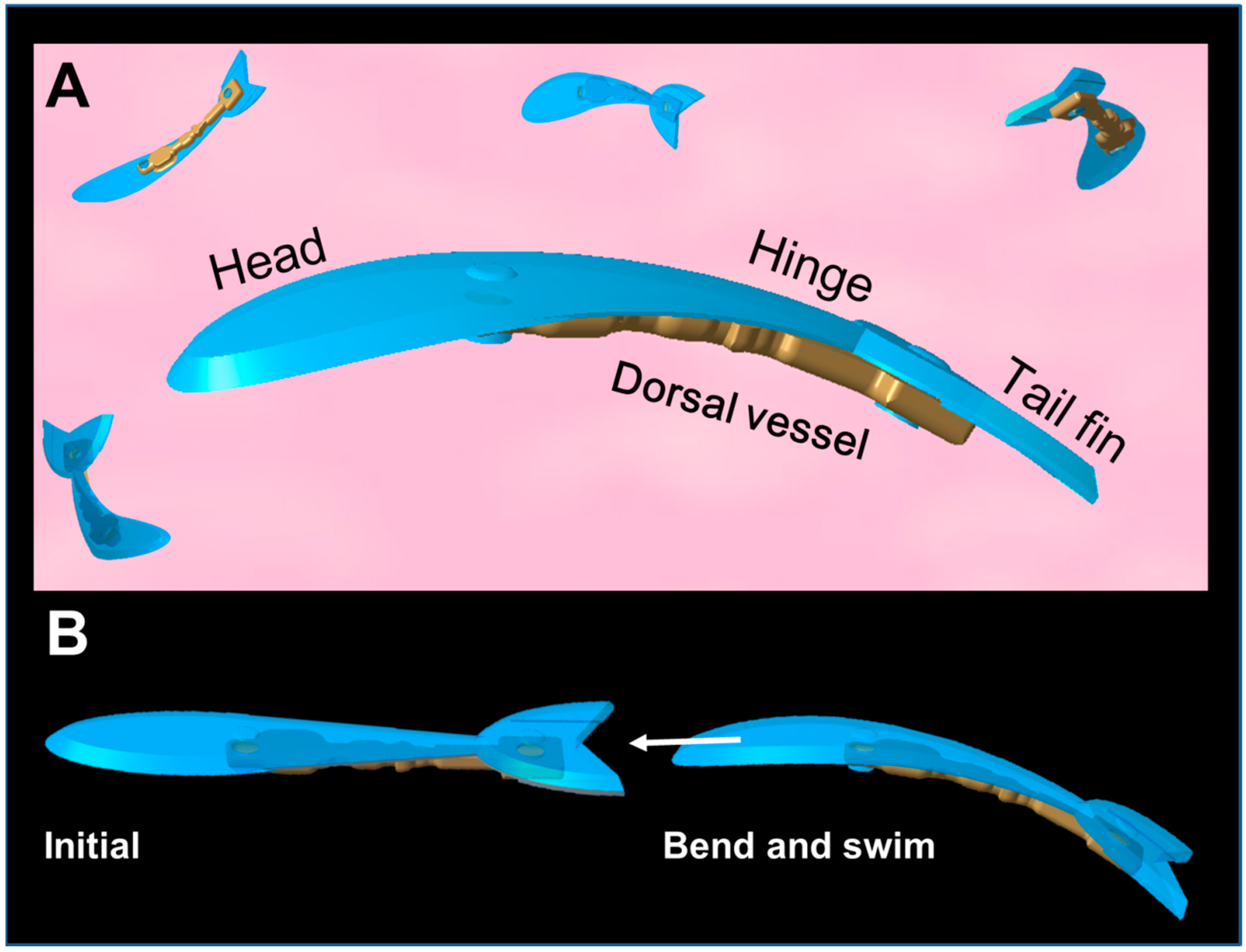 Actuators 08 00030 g001