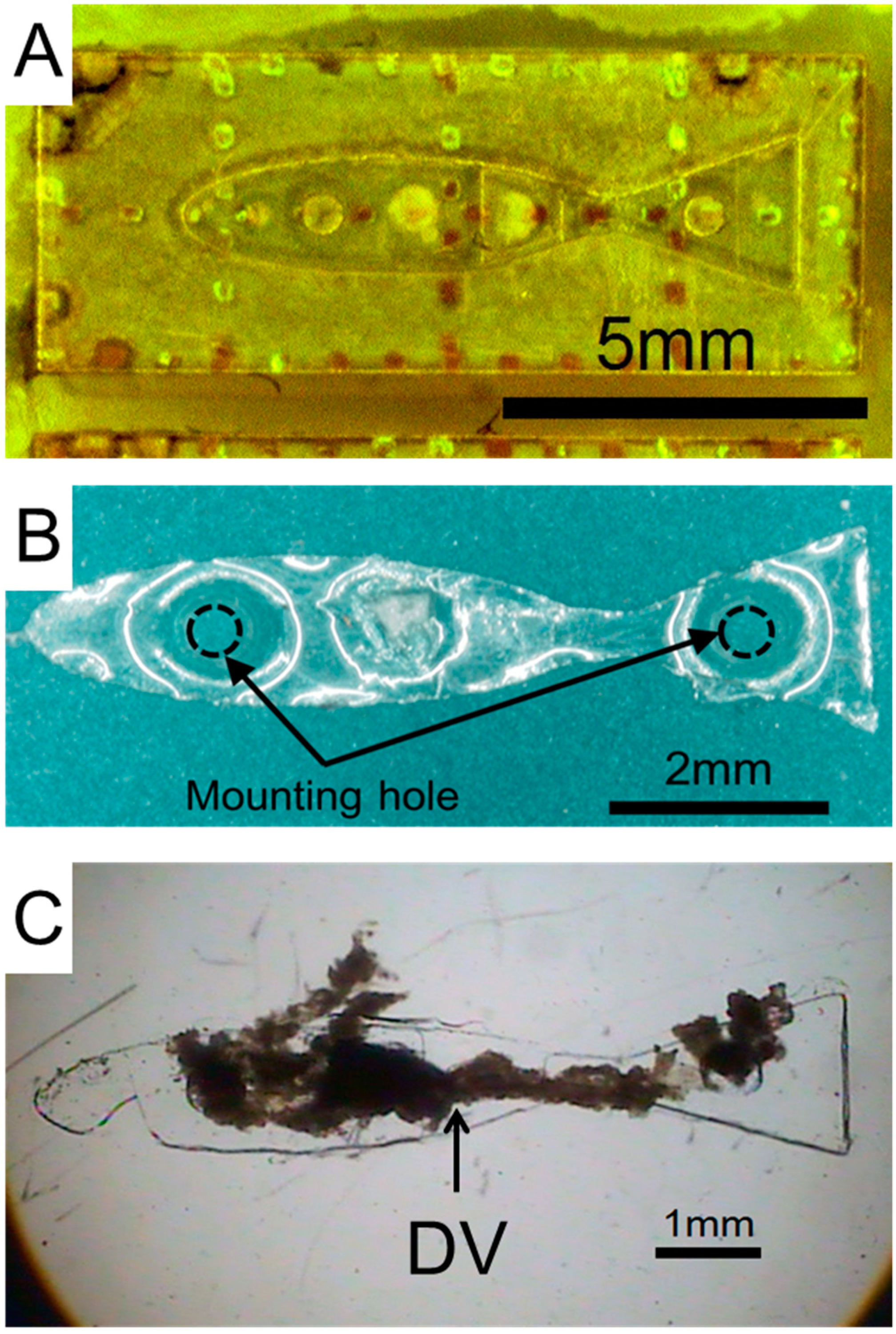 Actuators 08 00030 g005