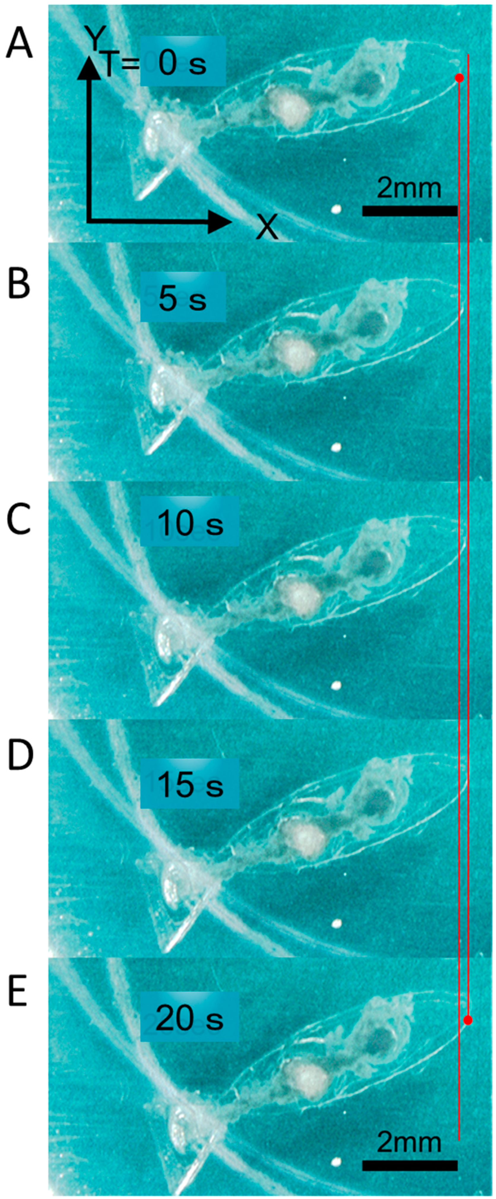 Actuators 08 00030 g008