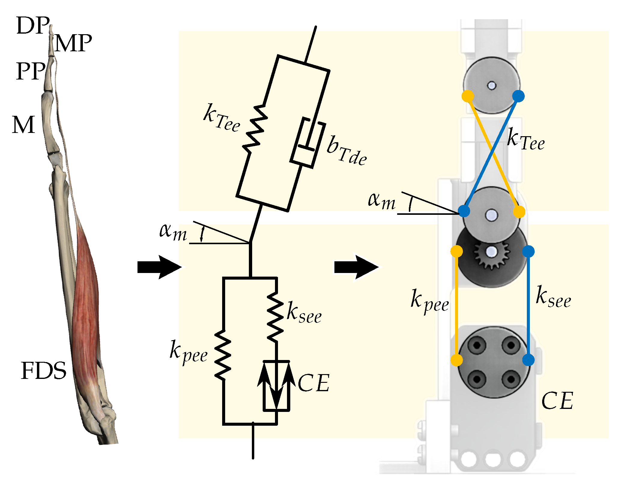 Actuators 08 00058 g007