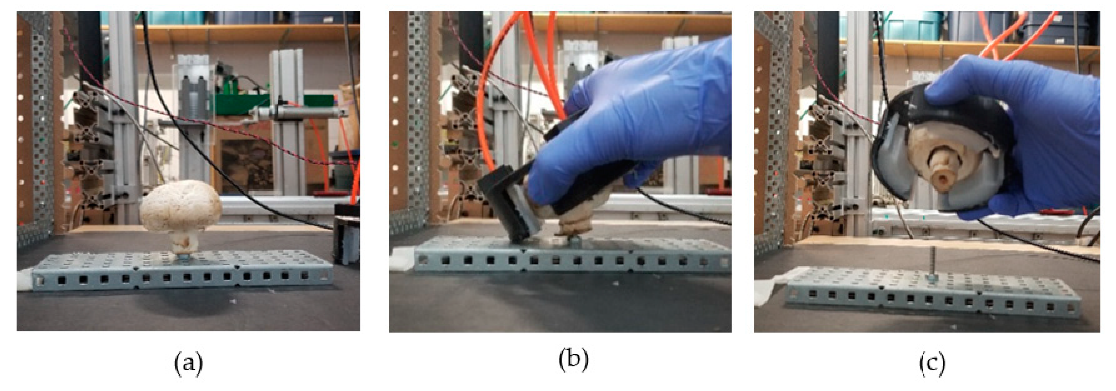 Actuators 08 00076 g011