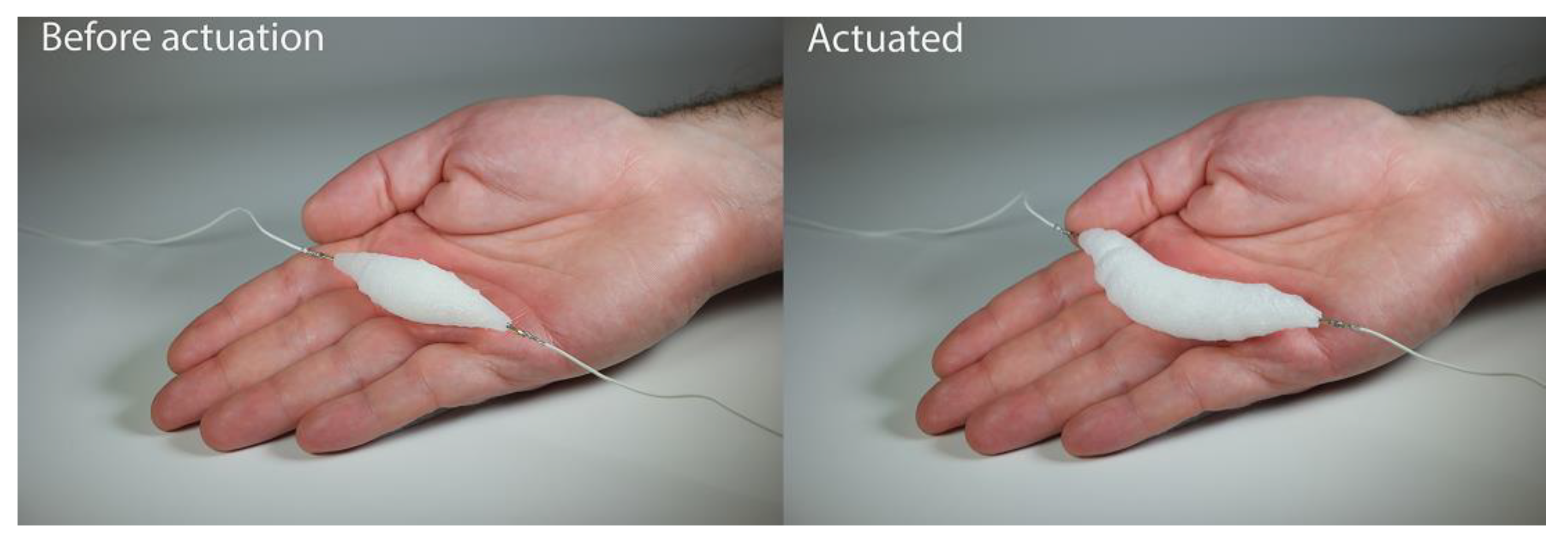 Actuators 09 00062 g001