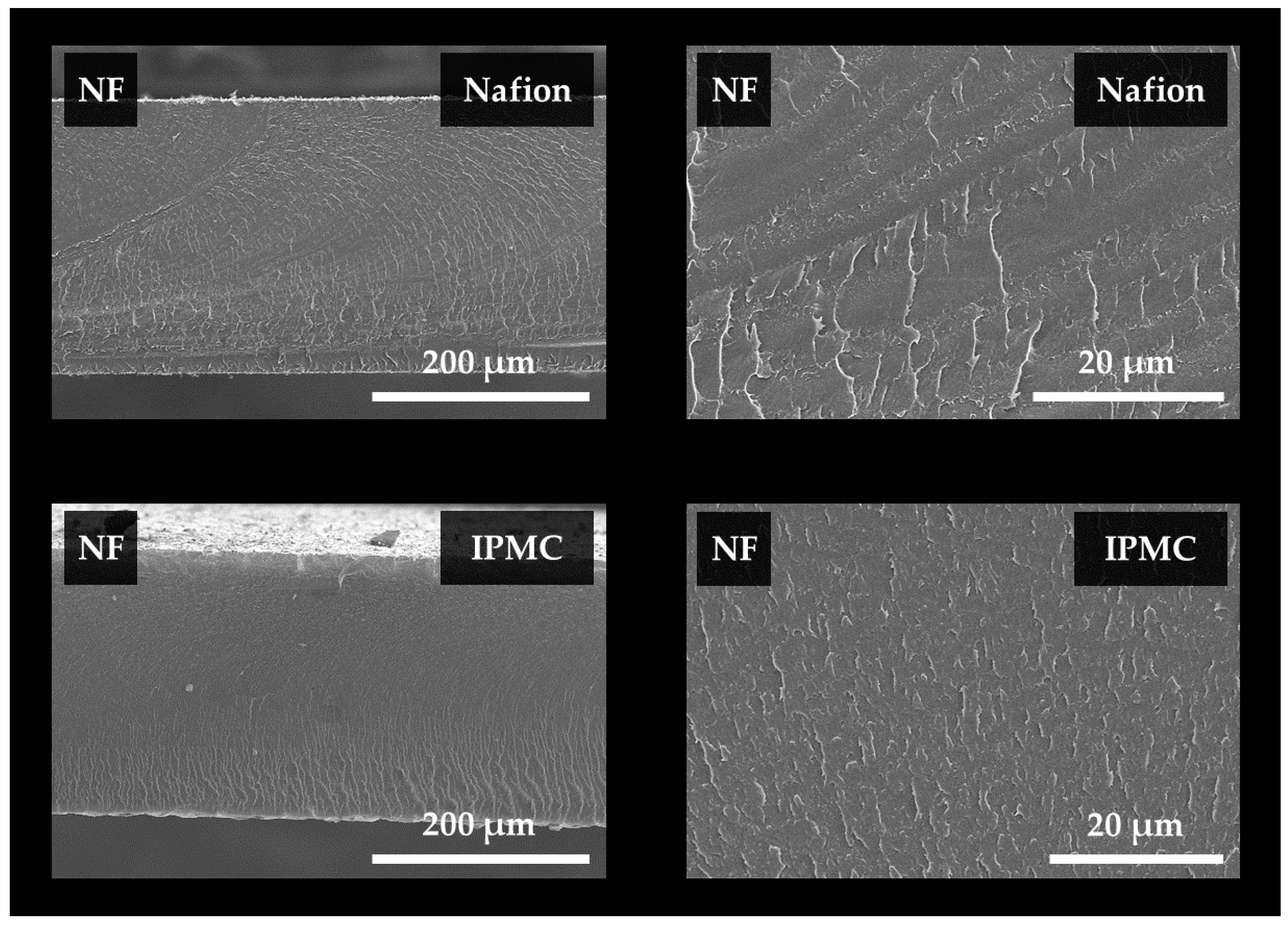 Actuators 09 00071 g008 Actuators 09 00071 g008