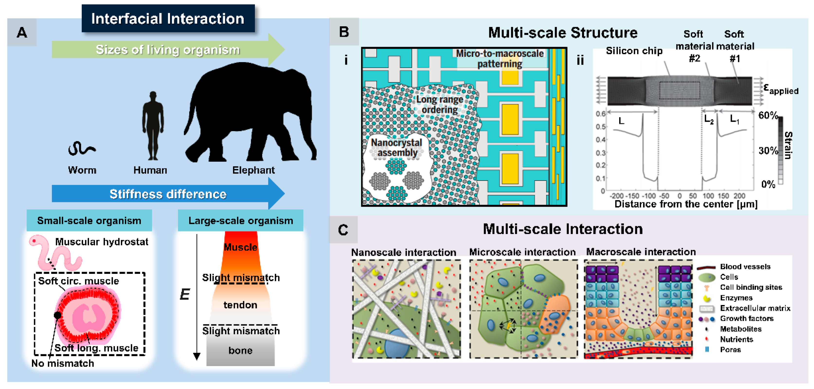 Actuators 09 00096 g003