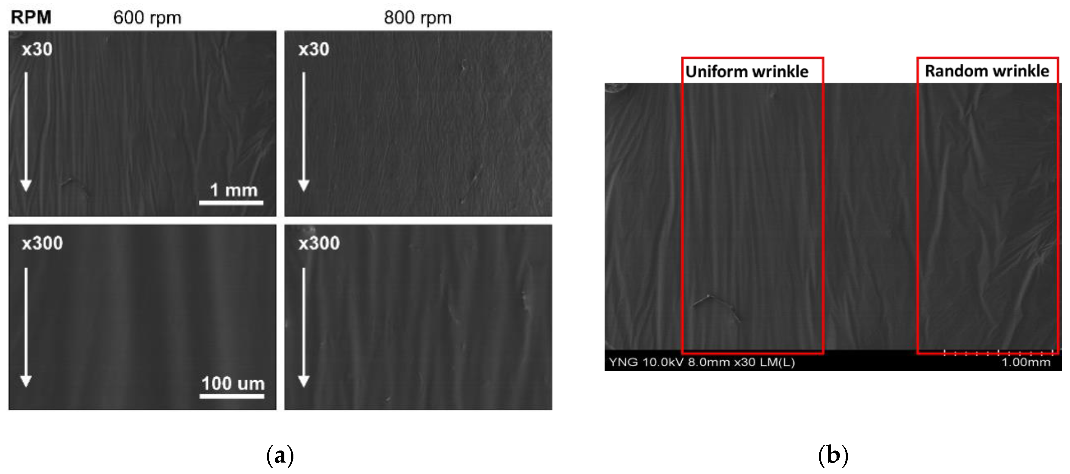 Actuators 09 00109 g005