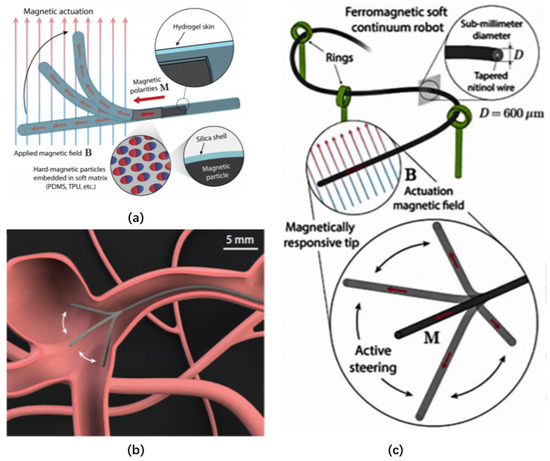 ferromagnetic soft continuum robots