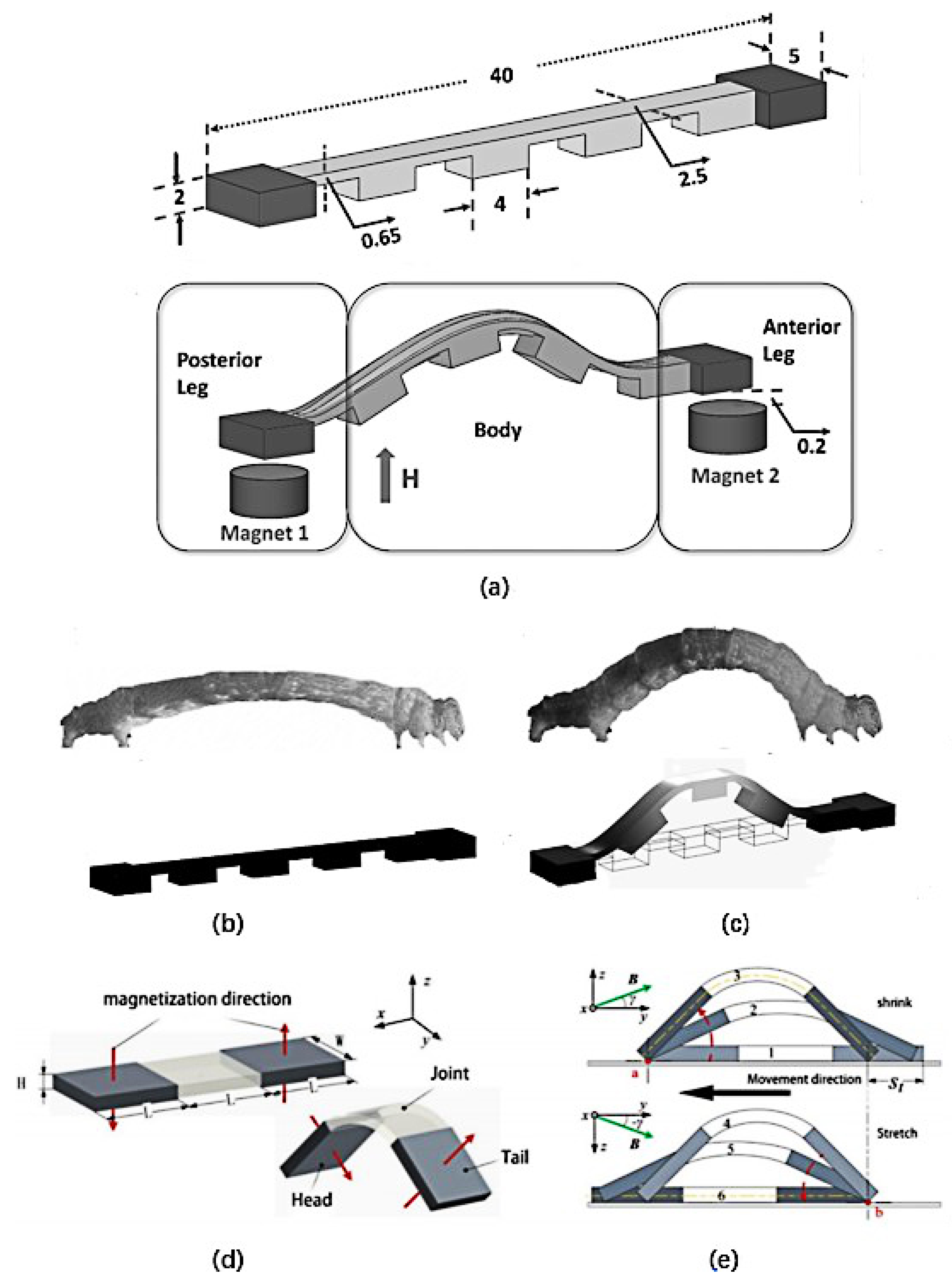 ferromagnetic soft continuum robots