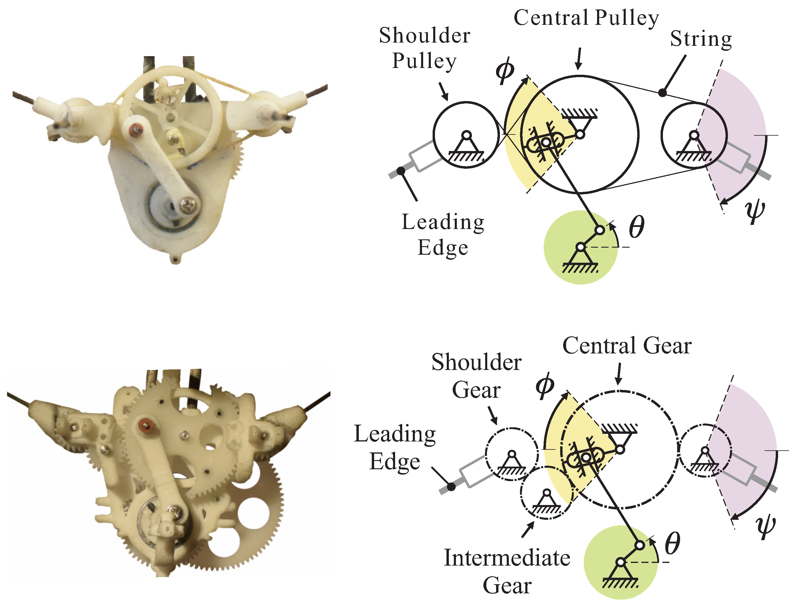 A Note on the Electromechanical Design of a Robotic Hummingbird