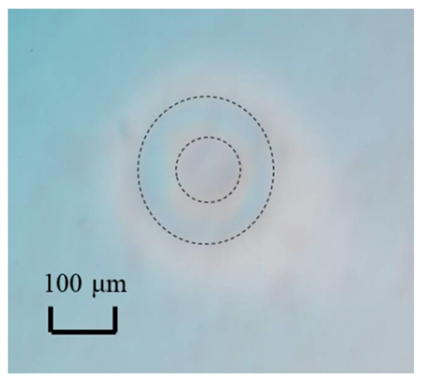 Actuators 10 00055 g017 Actuators 10 00055 g017
