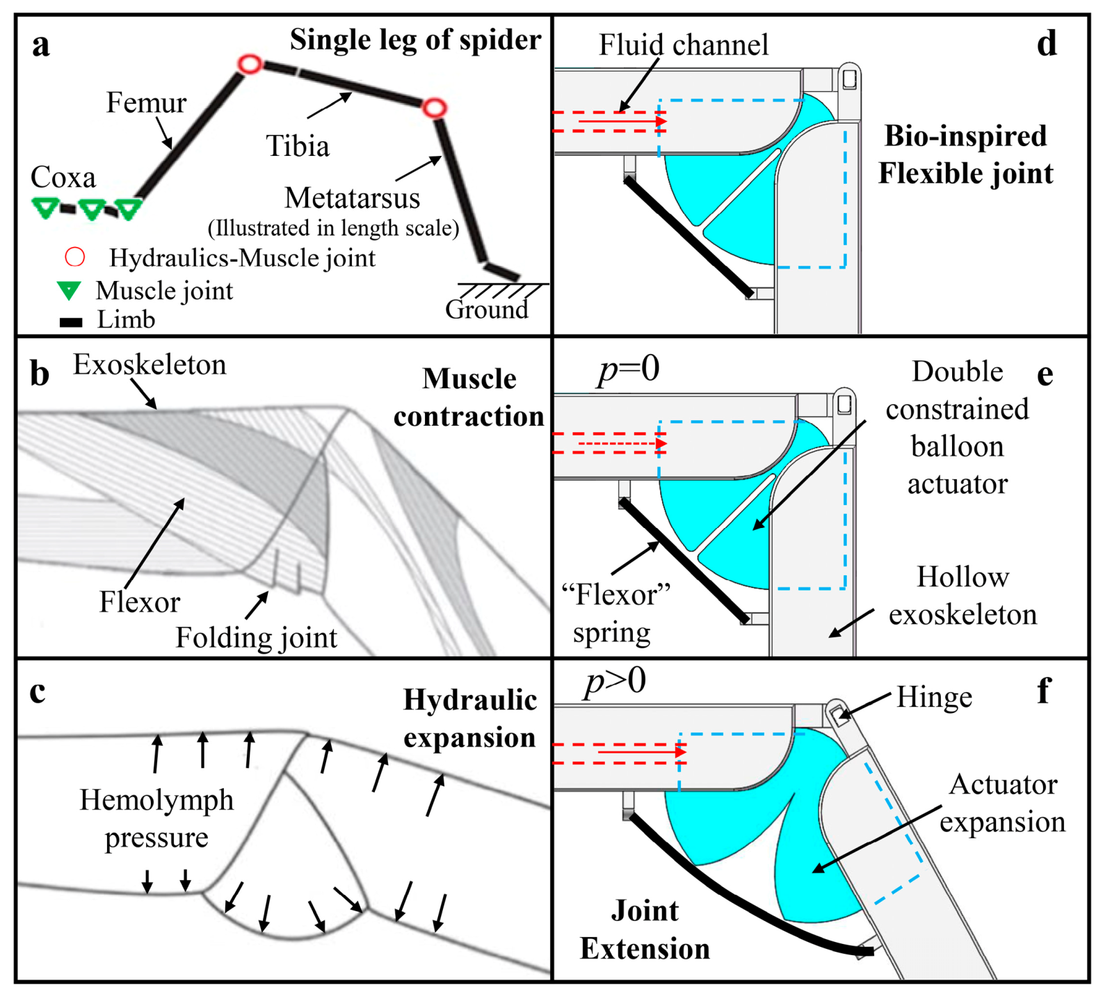 Actuators 10 00095 g001 Actuators 10 00095 g001