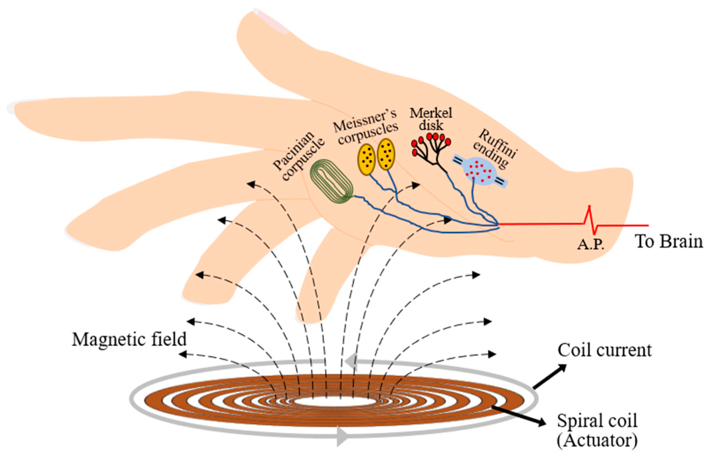 Actuators 10 00106 g002
