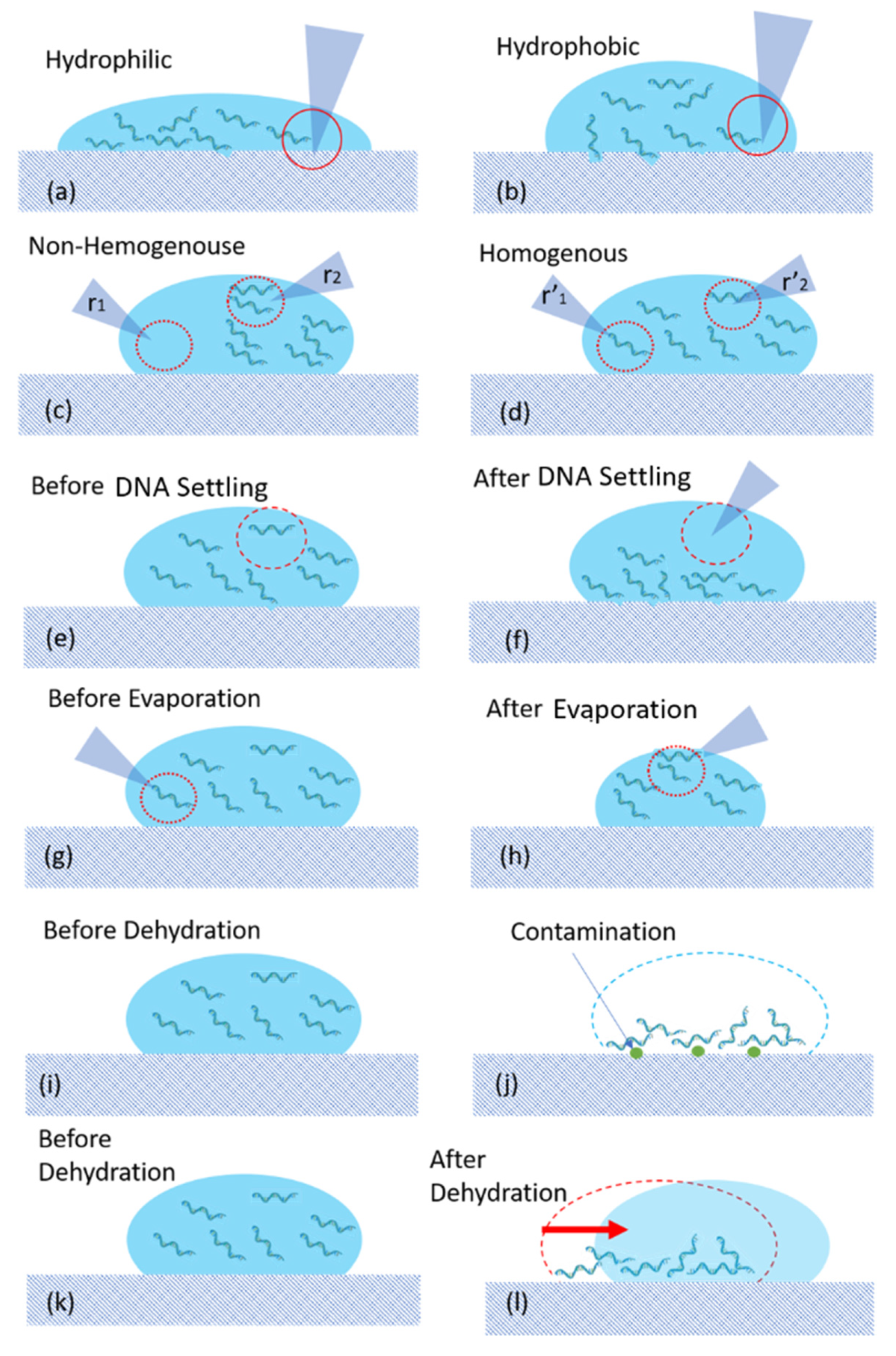 Actuators Free Full Text Uv Vis Spectrophotometric Analysis Of Dna Retrieval For Dna Storage Applications Html Actuators Free Full Text Uv Vis Spectrophotometric Analysis Of Dna Retrieval For Dna Storage Applications Html