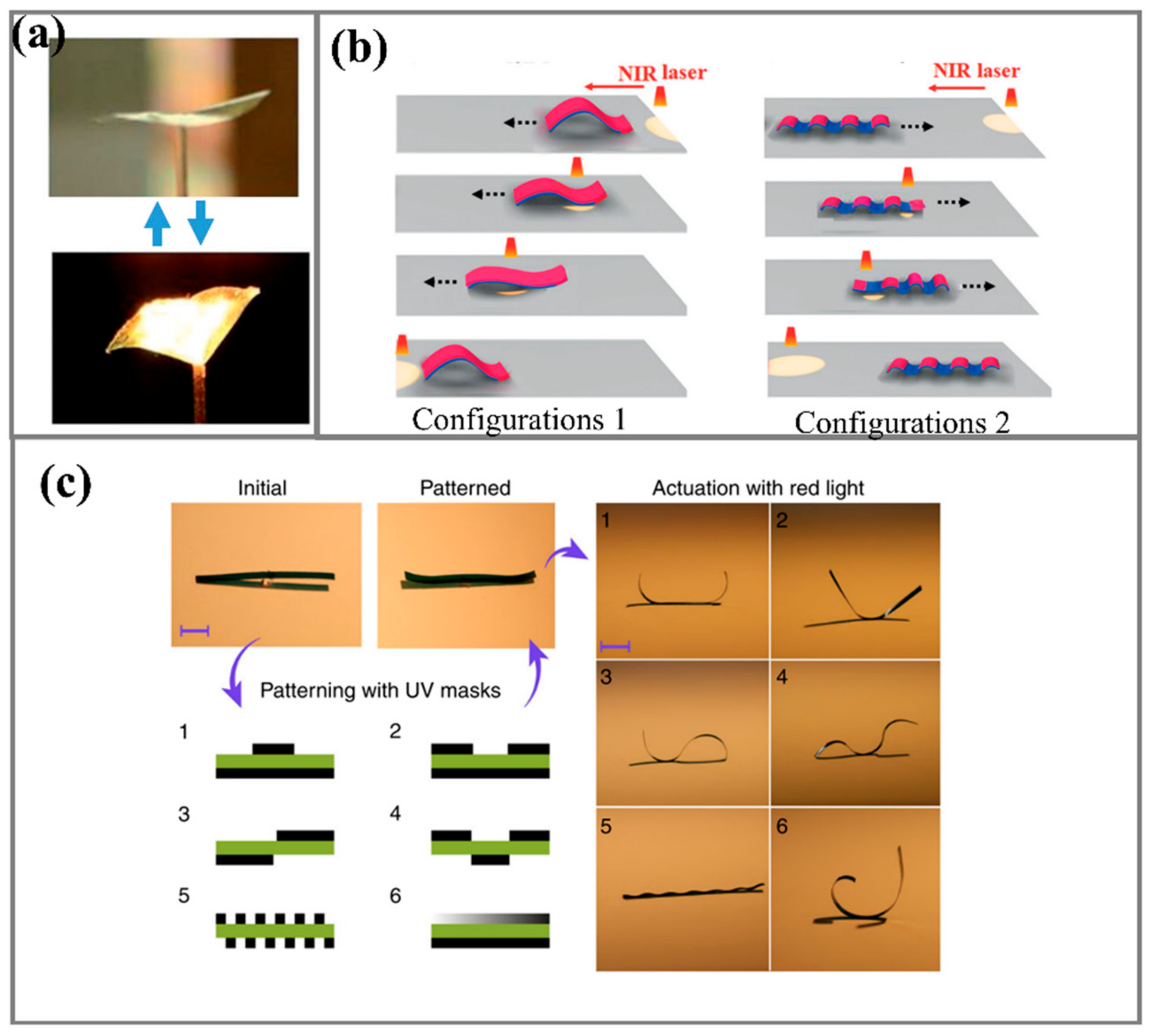 Actuators Free FullText LightResponsive Soft Actuators Mechanism