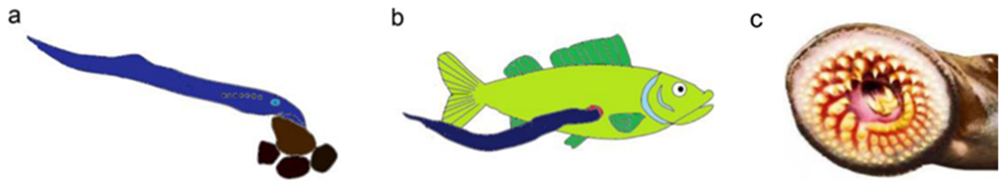 Actuators 11 00003 g001 550