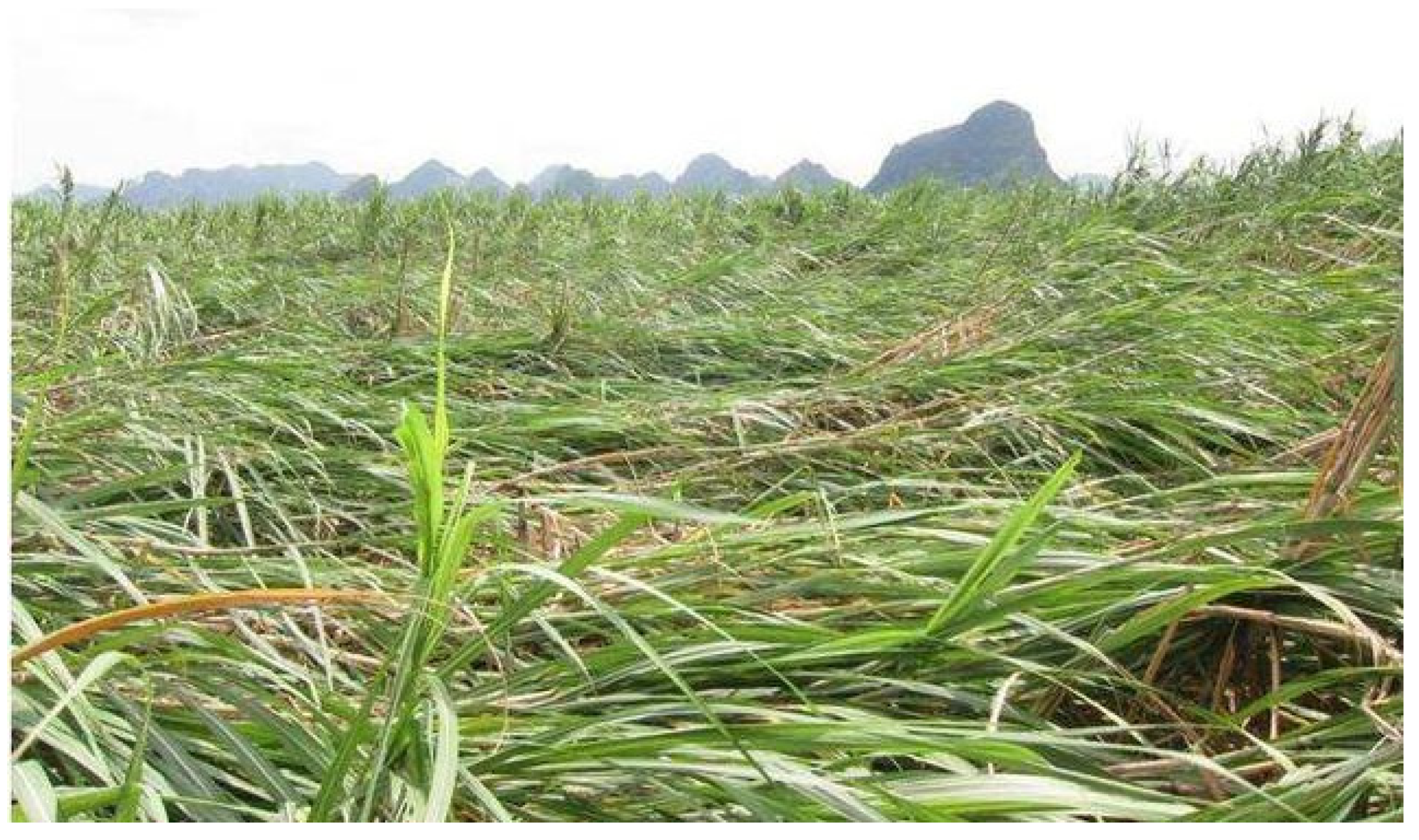 Actuators 11 00023 g001 Actuators 11 00023 g001