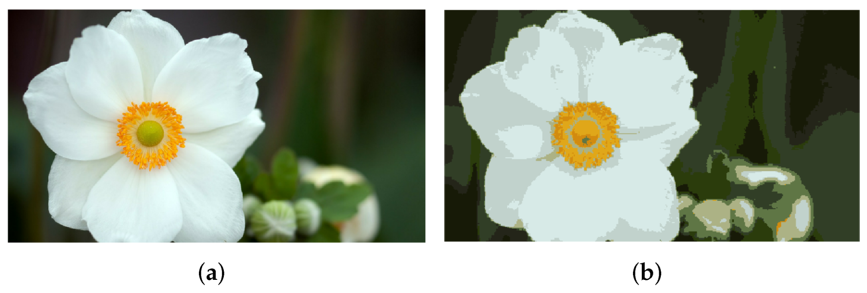 Actuators 11 00062 g001