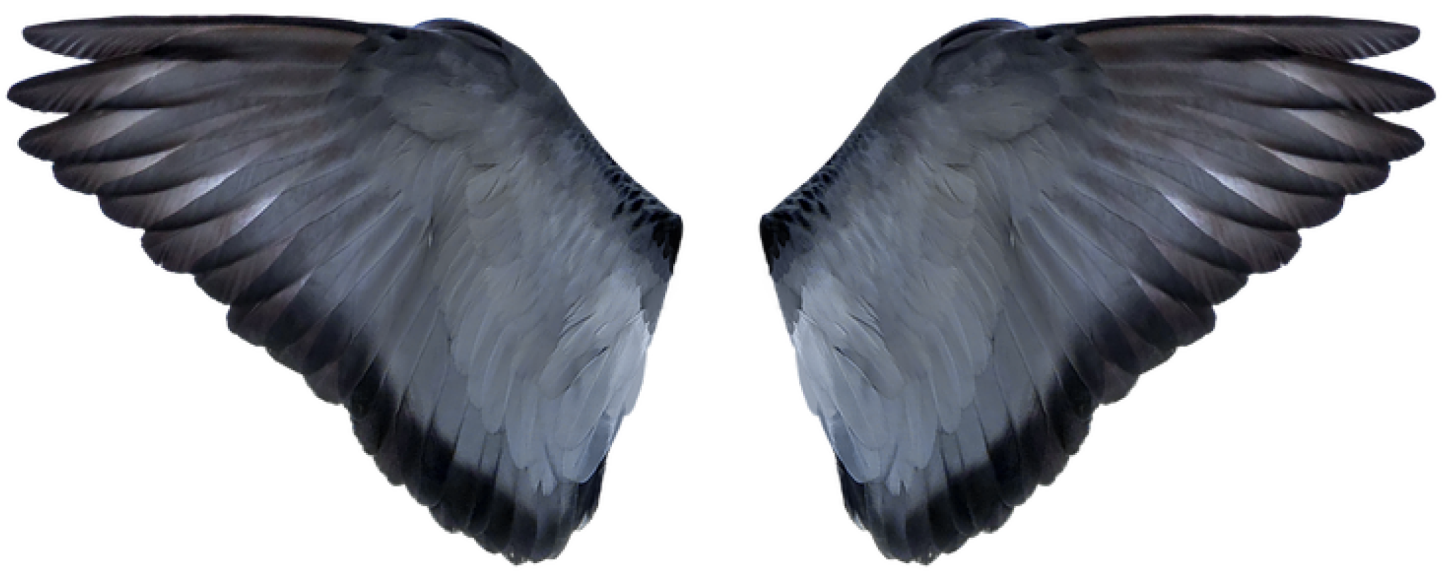 Actuators 11 00062 g014