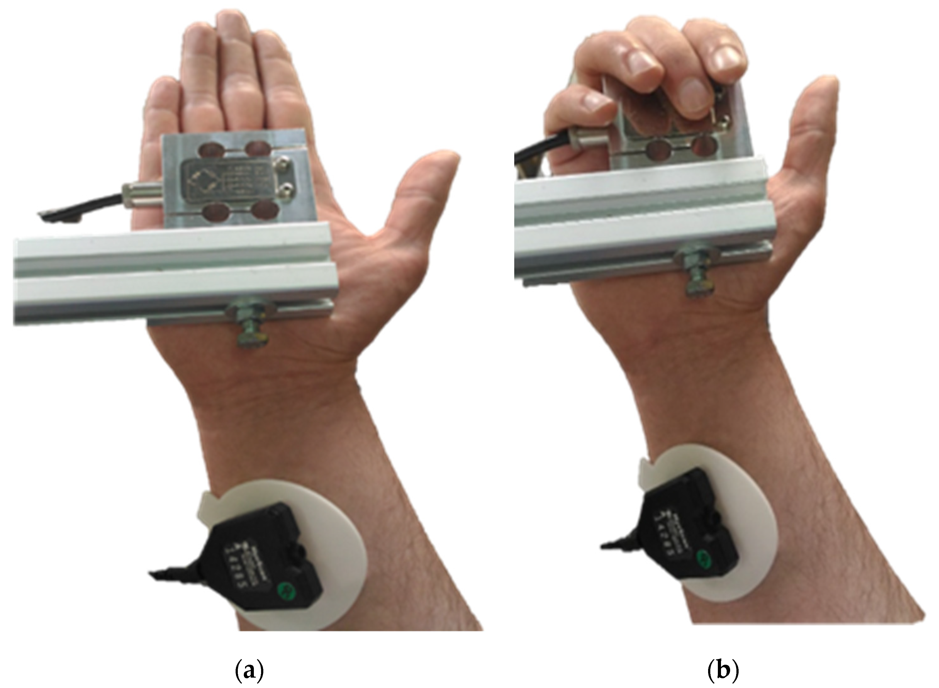 Actuators 11 00065 g008 550