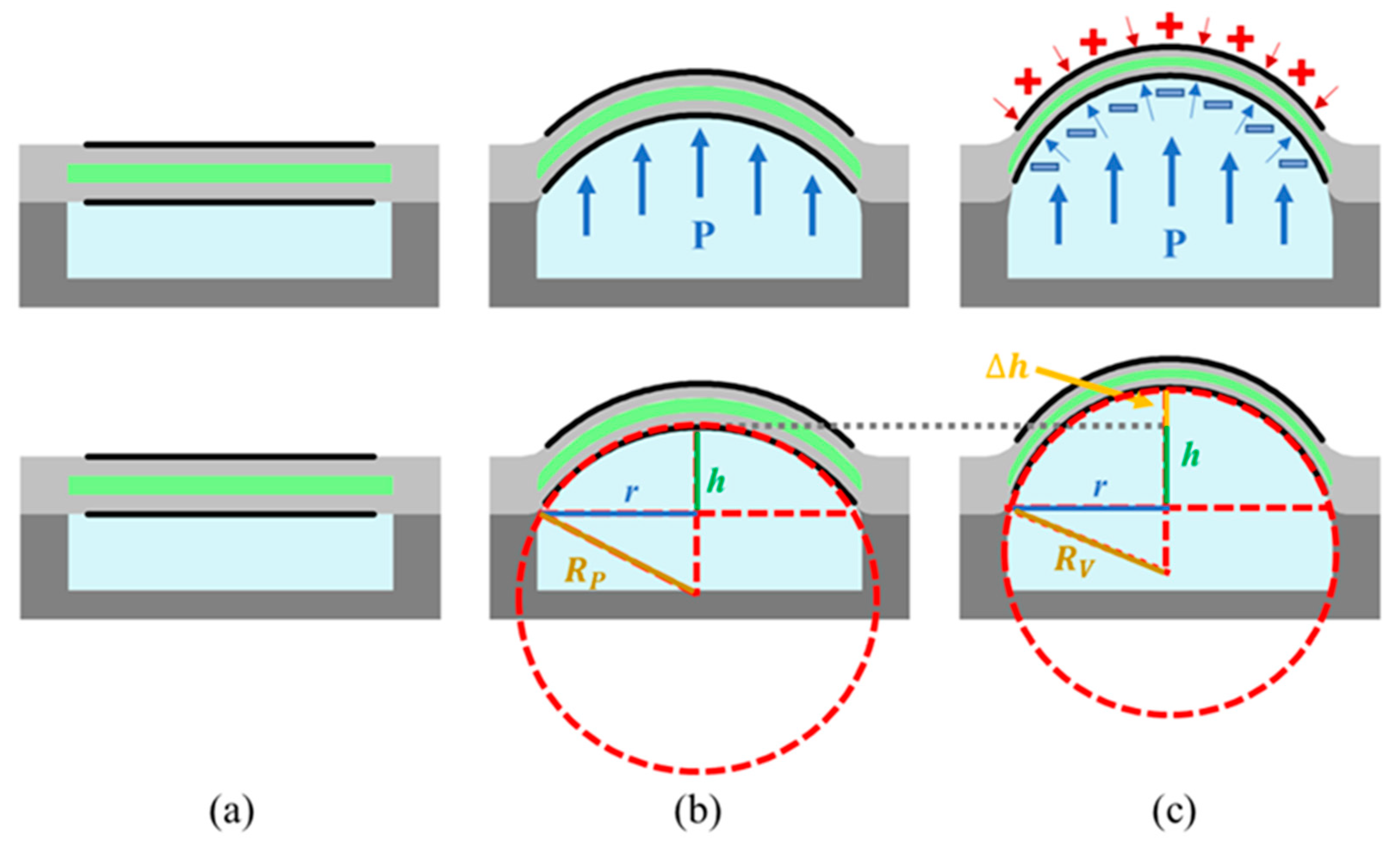 Actuators 11 00074 g002