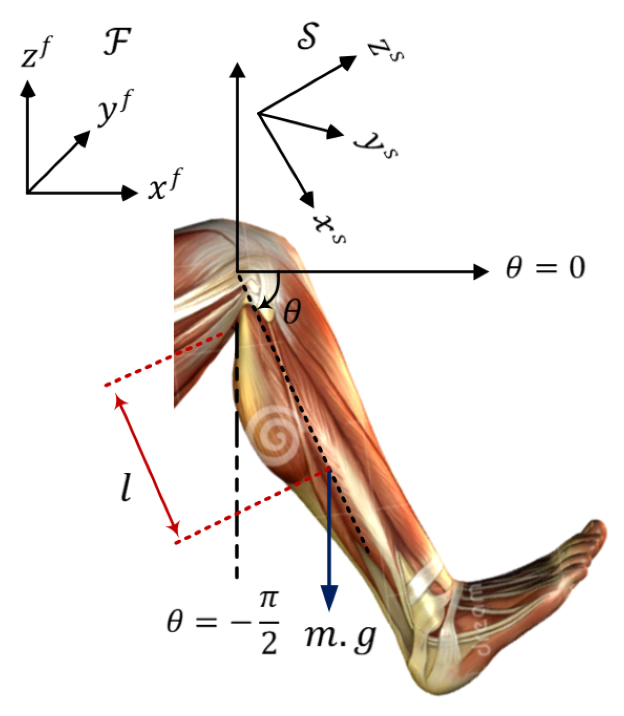 Actuators 11 00078 g001