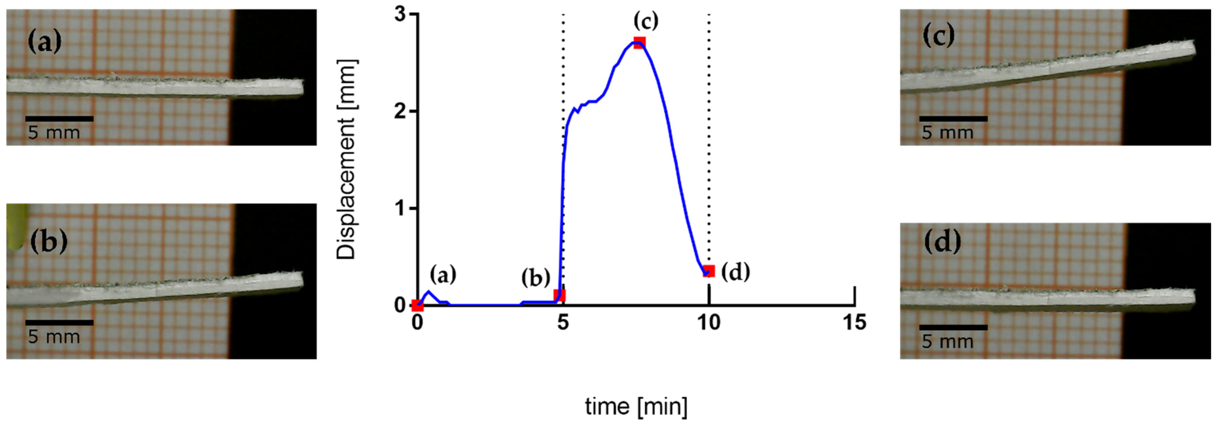 Actuators 11 00094 g003
