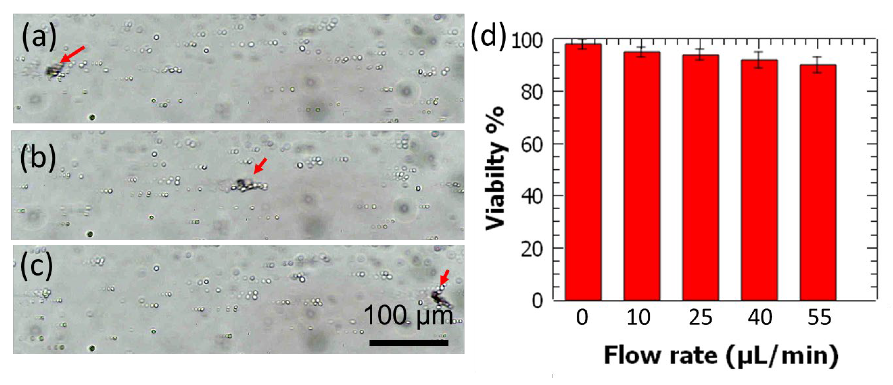 Actuators 11 00116 g006
