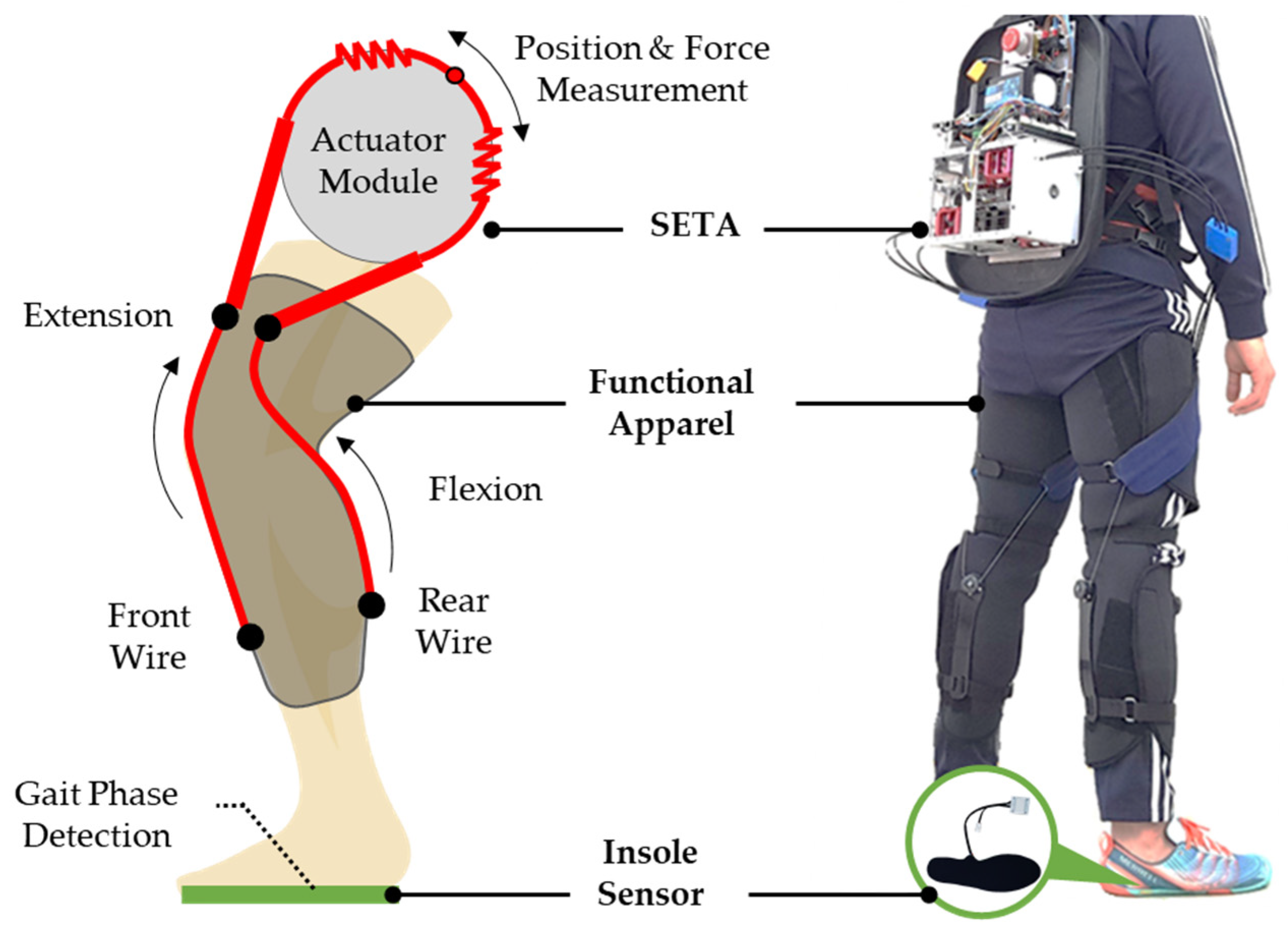 Actuators Free FullText Development of a Series Elastic Tendon Actuator (SETA) Based on