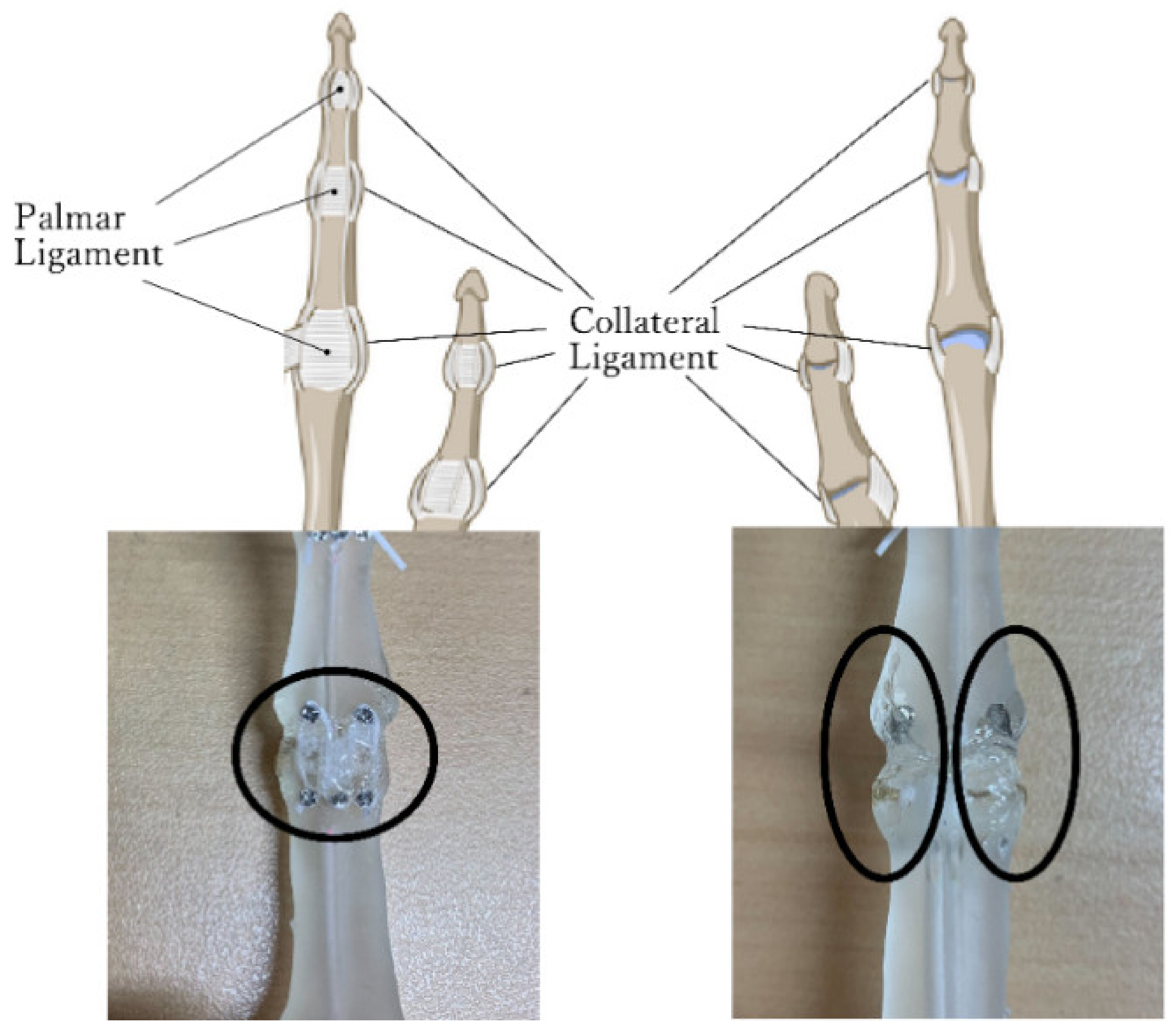 Actuators 11 00167 g003 550