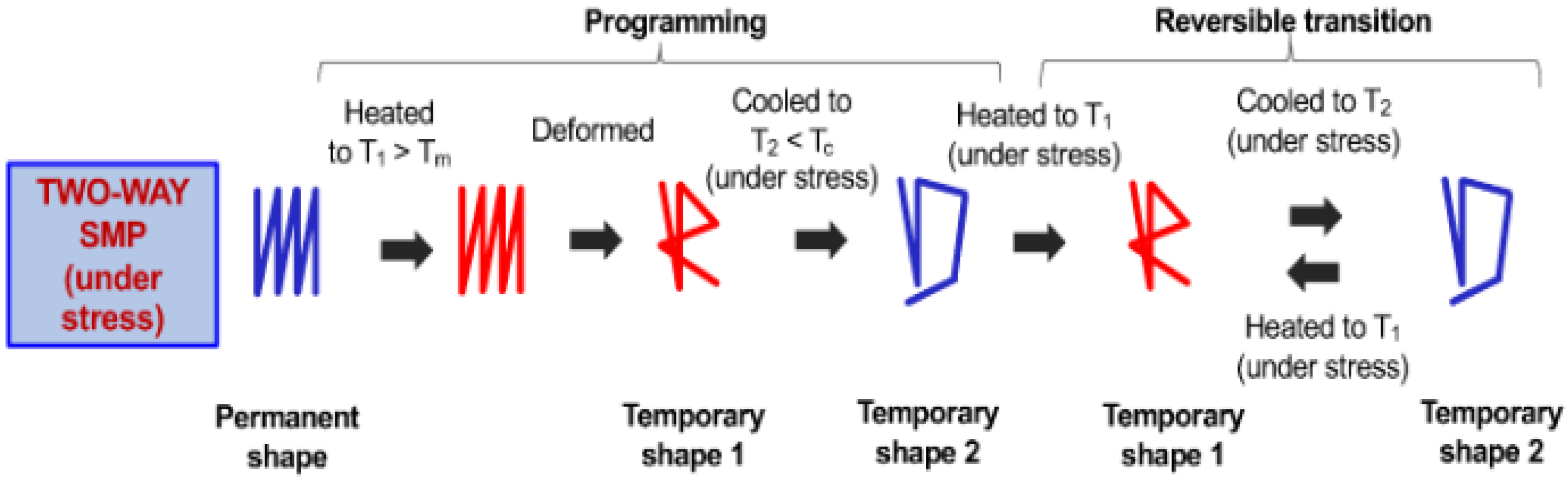 Actuators 11 00168 g020