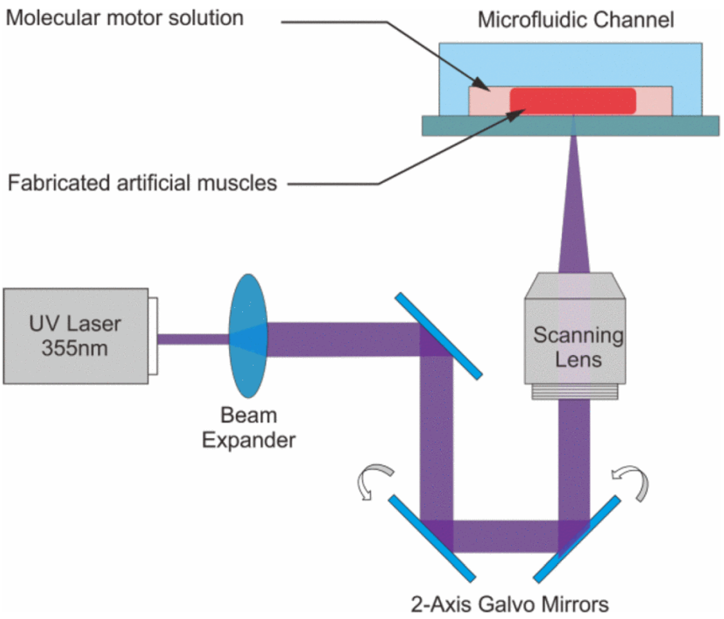 Actuators 11 00168 g024