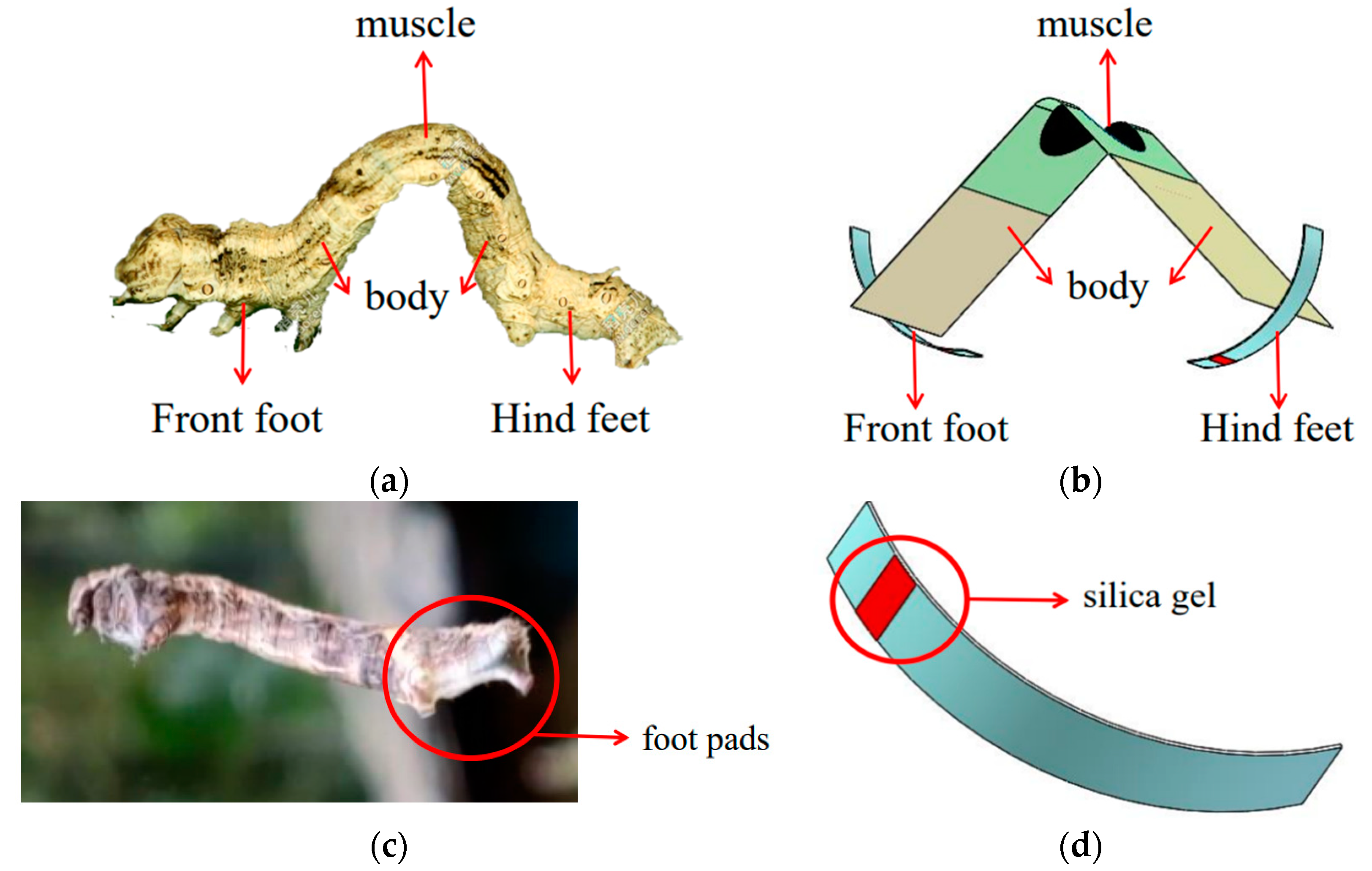 Actuators 11 00227 g001